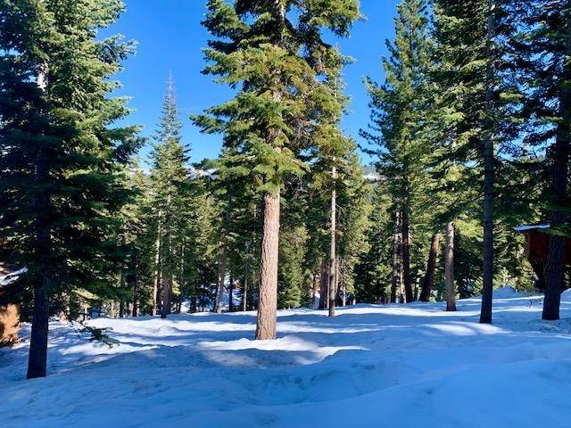 Truckee, CA 96161,2217 Silver Fox Court