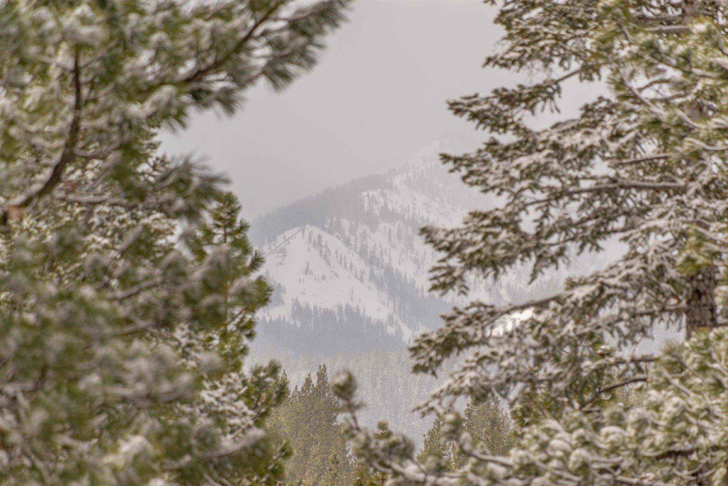 Truckee, CA 96161,11158 Mougle Lane
