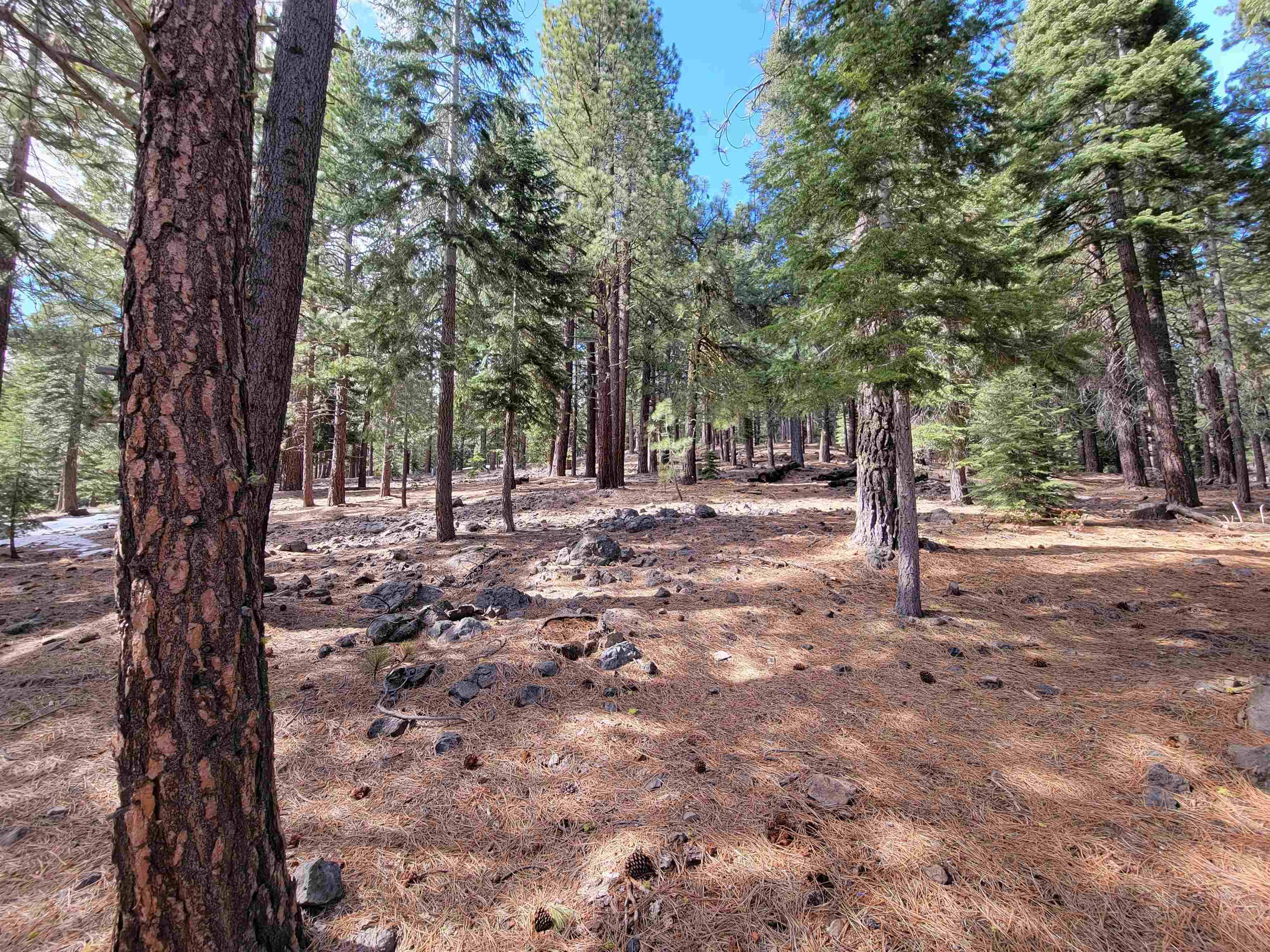Truckee, CA 96161,12062 Saddleback Drive