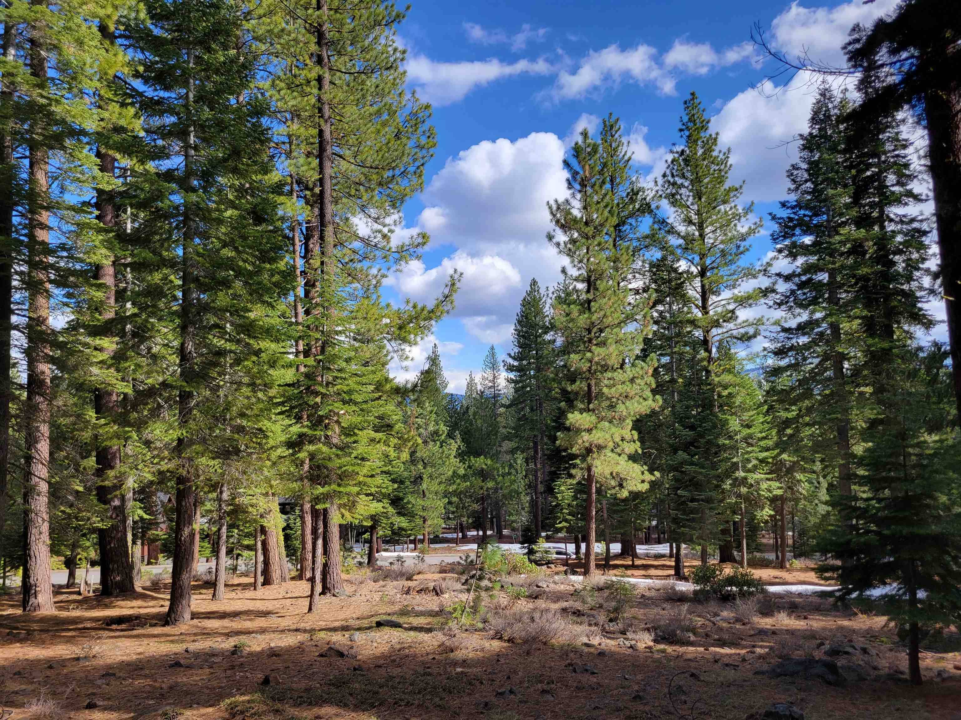 Truckee, CA 96161,12062 Saddleback Drive