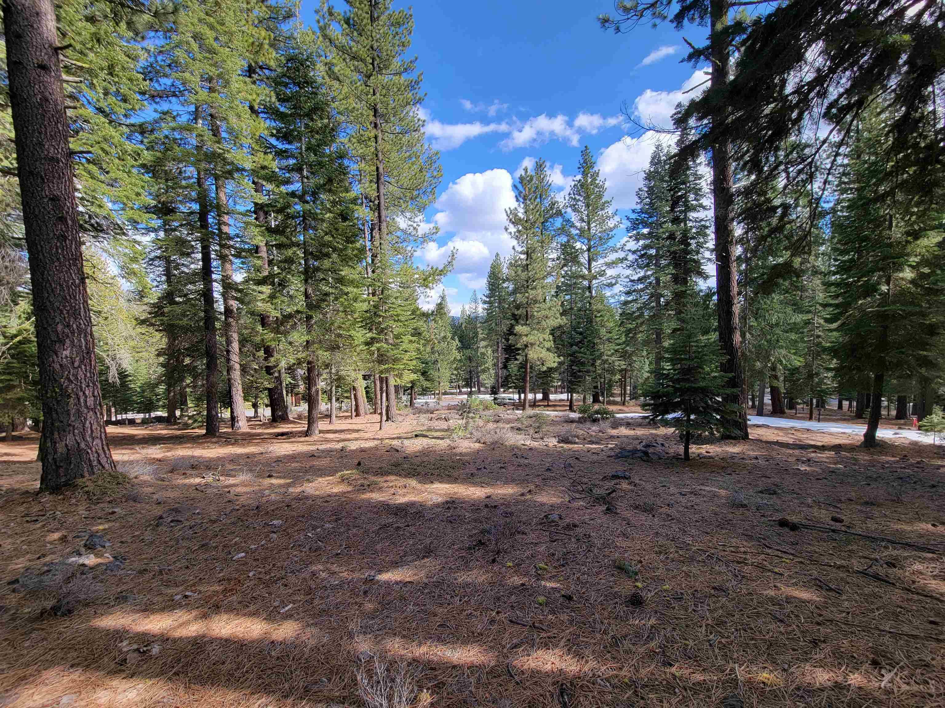 Truckee, CA 96161,12062 Saddleback Drive