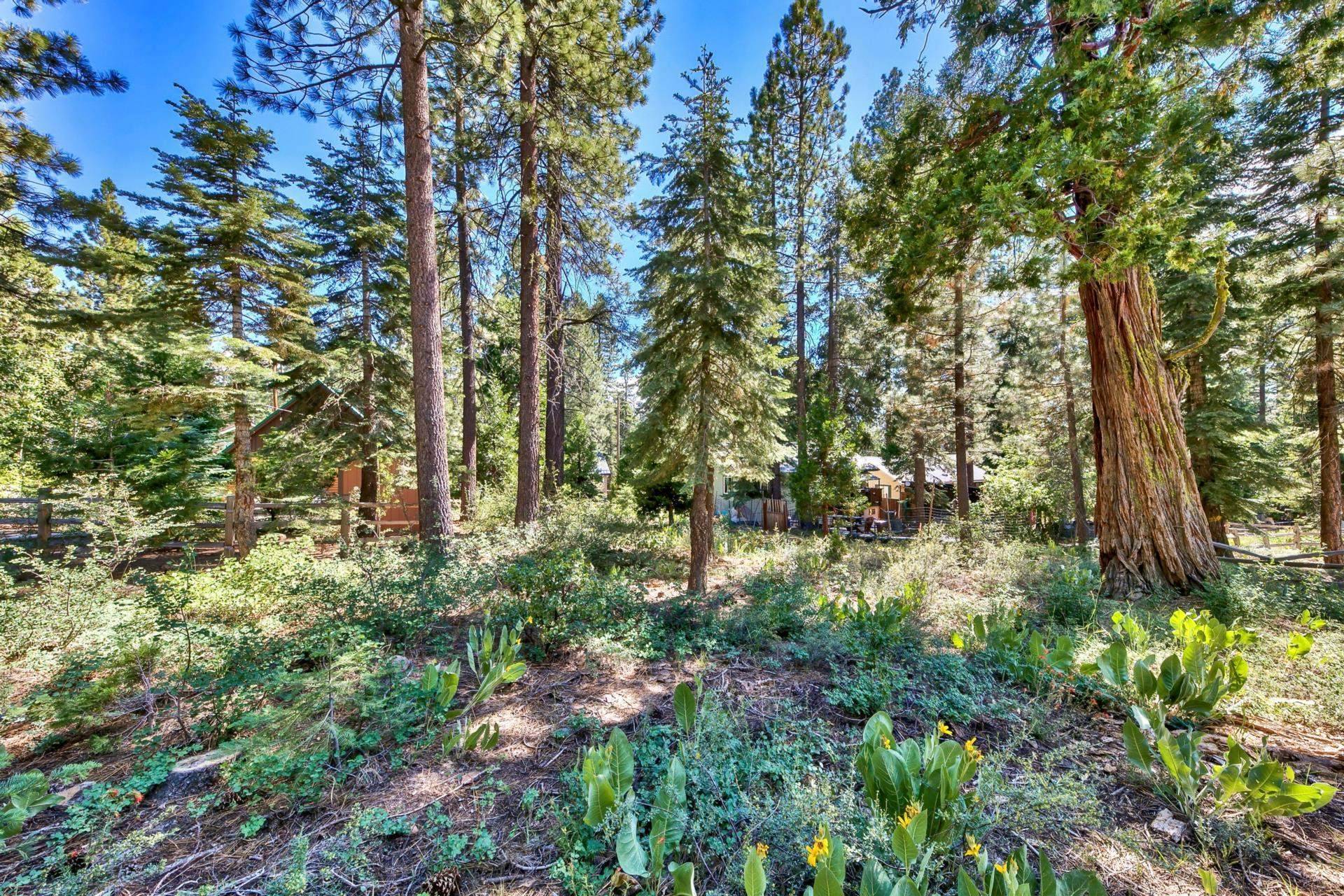 Kings Beach, CA 96143,8898 Cutthroat Avenue
