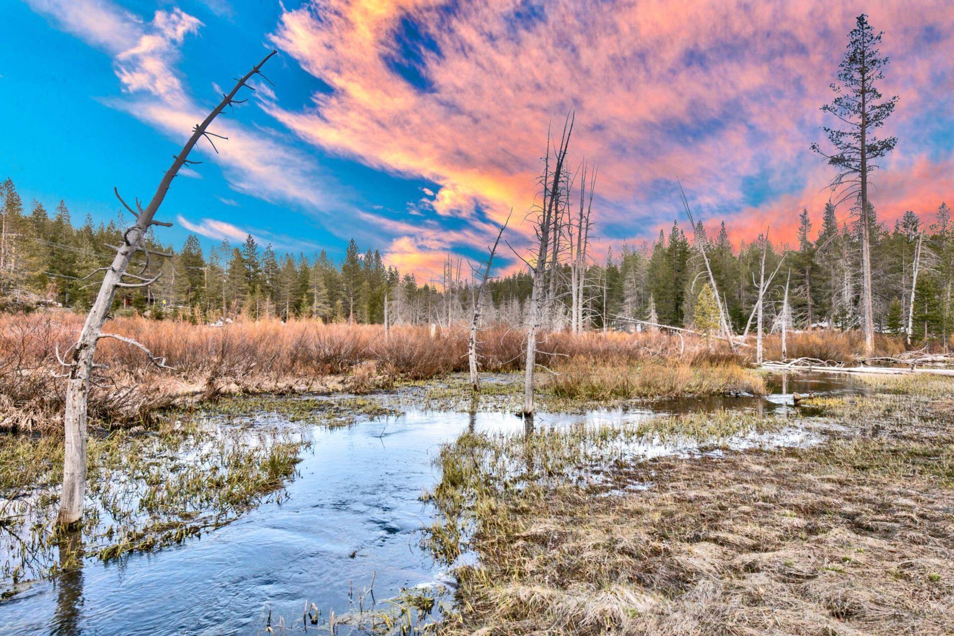 Truckee, CA 96161-6555,11529 Zermatt Drive