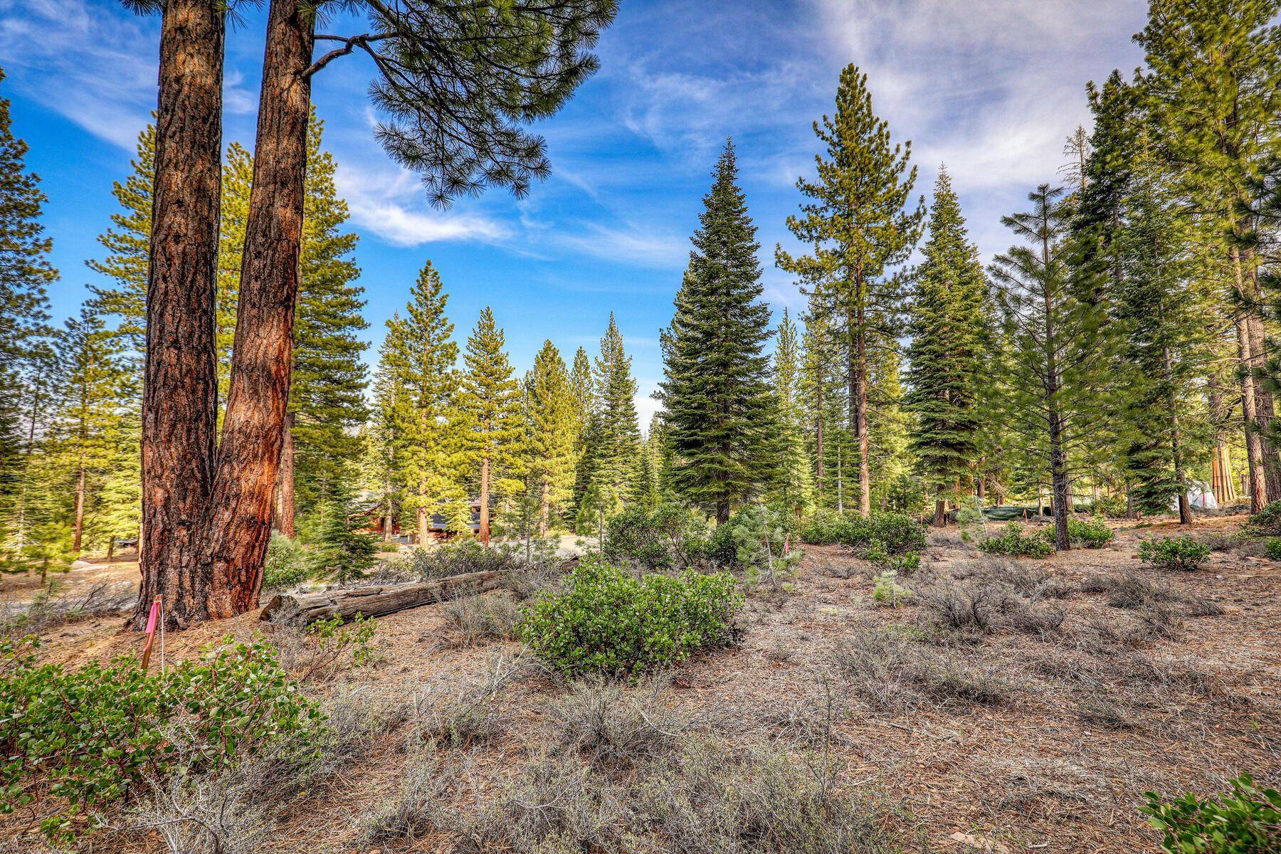 Truckee, CA 96161,111 Dave Dysart