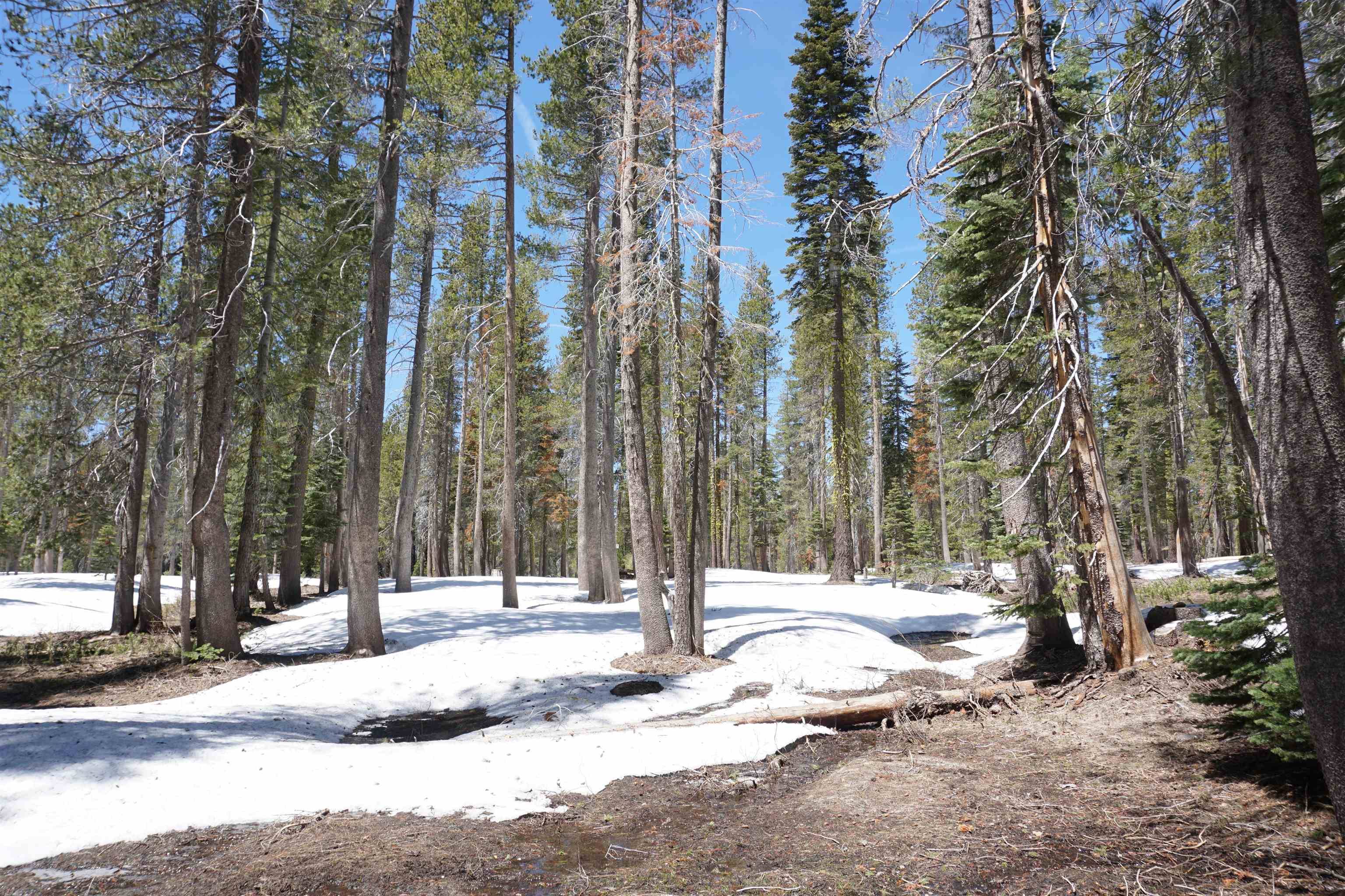 Soda Springs, CA 95728-0000,5439 Hillside Drive