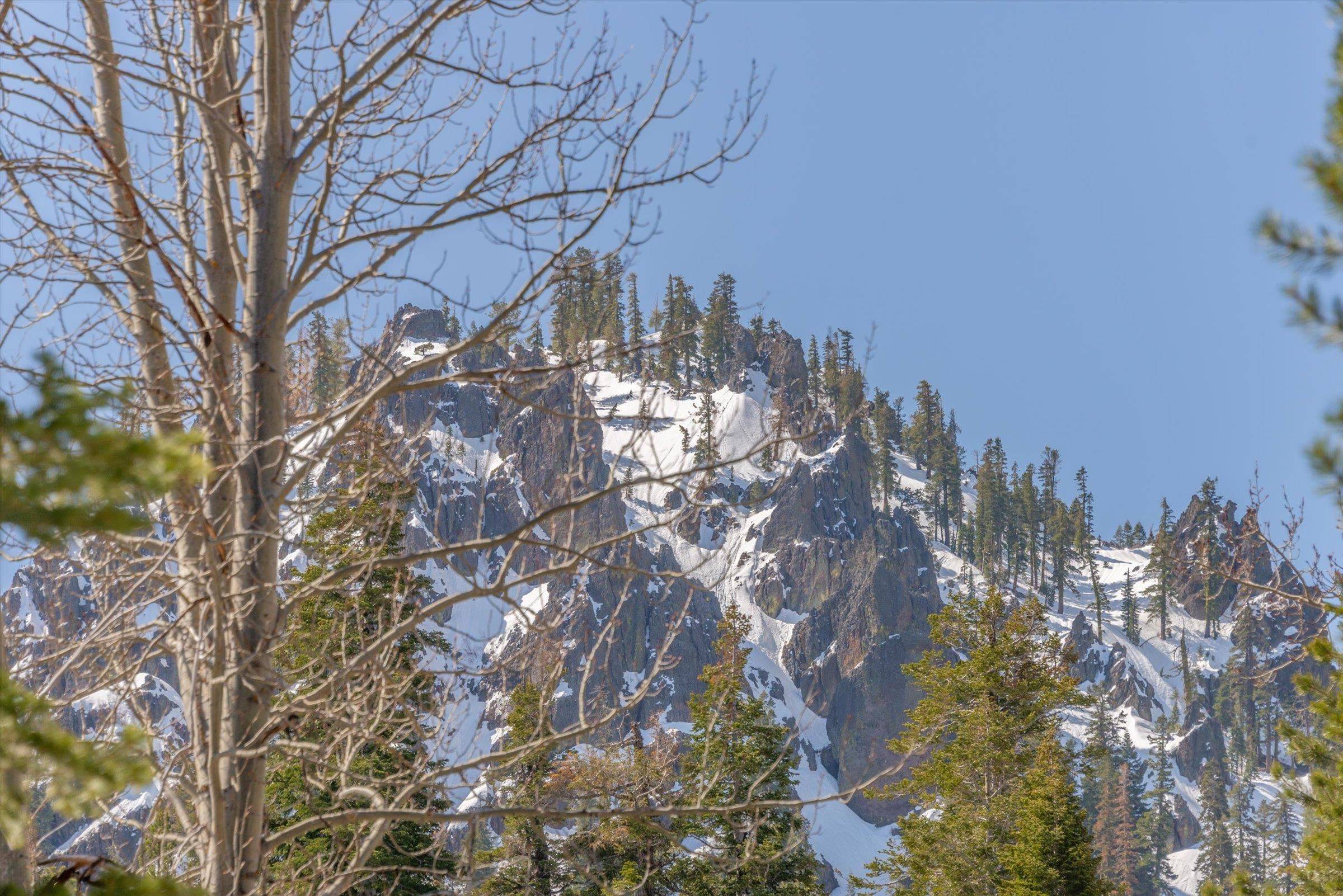 Alpine Meadows, CA 96145,1423 Beaver Dam Trail