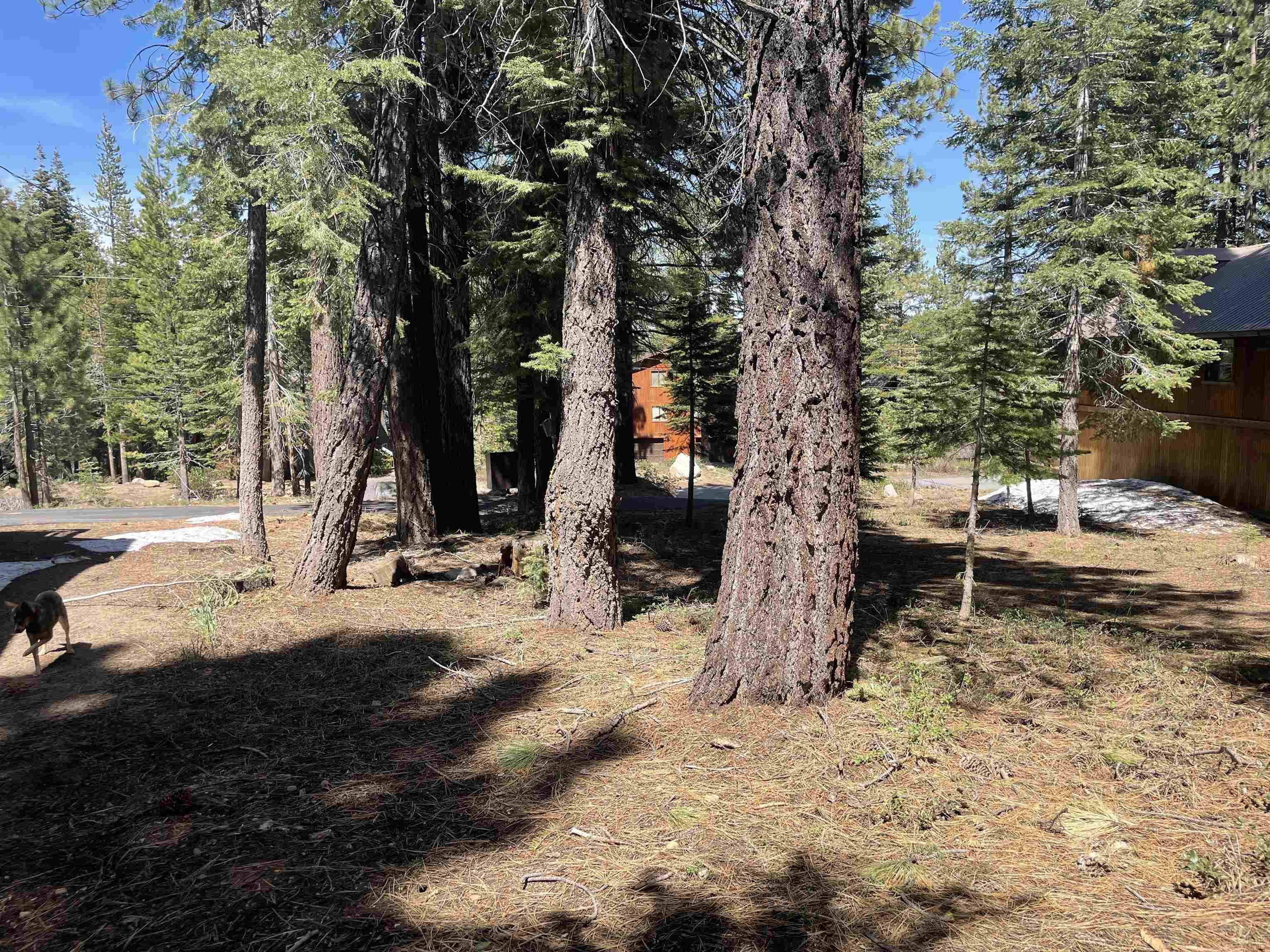 Truckee, CA 96161,11160 Zermatt Drive