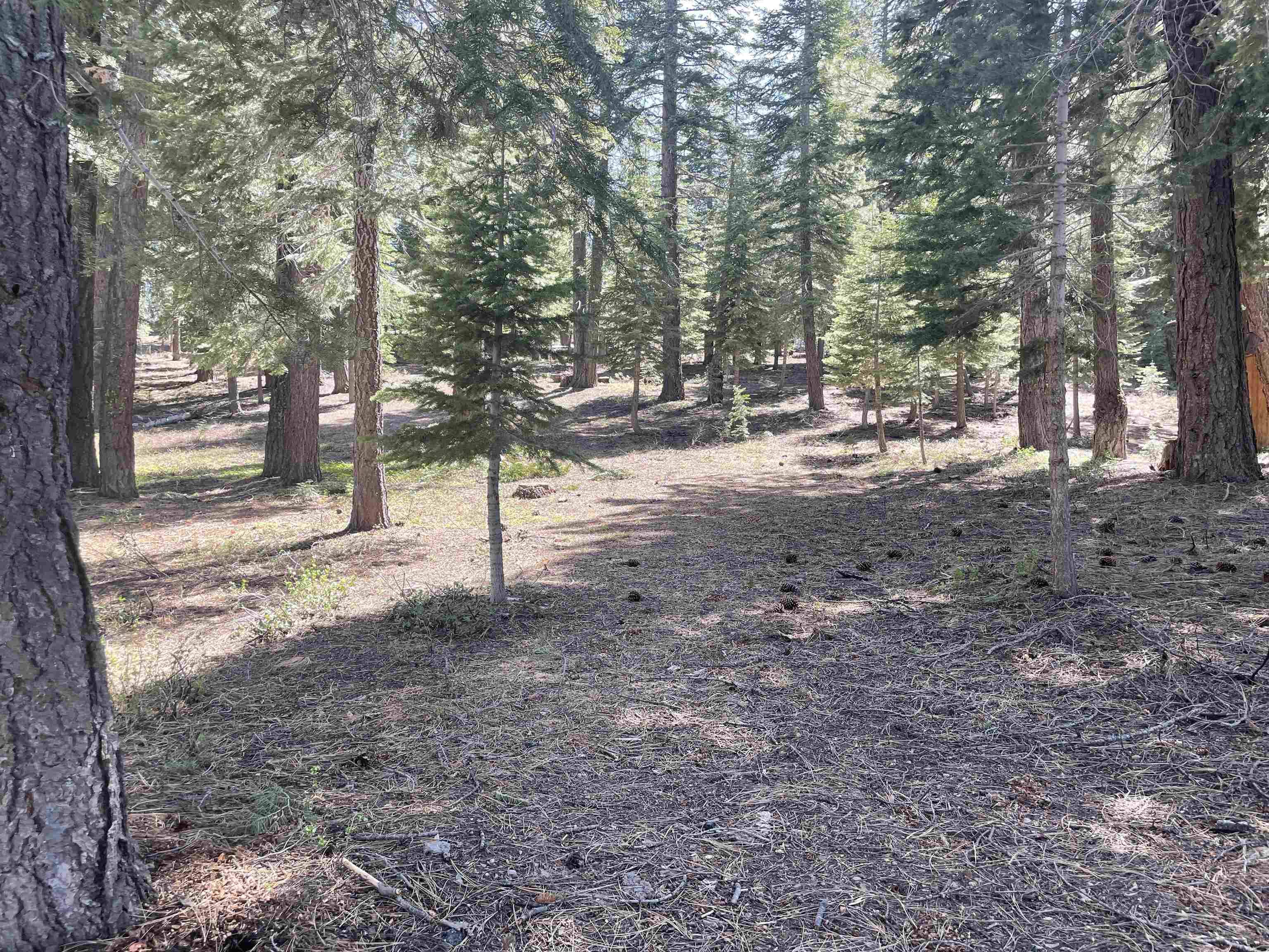 Truckee, CA 96161,11160 Zermatt Drive