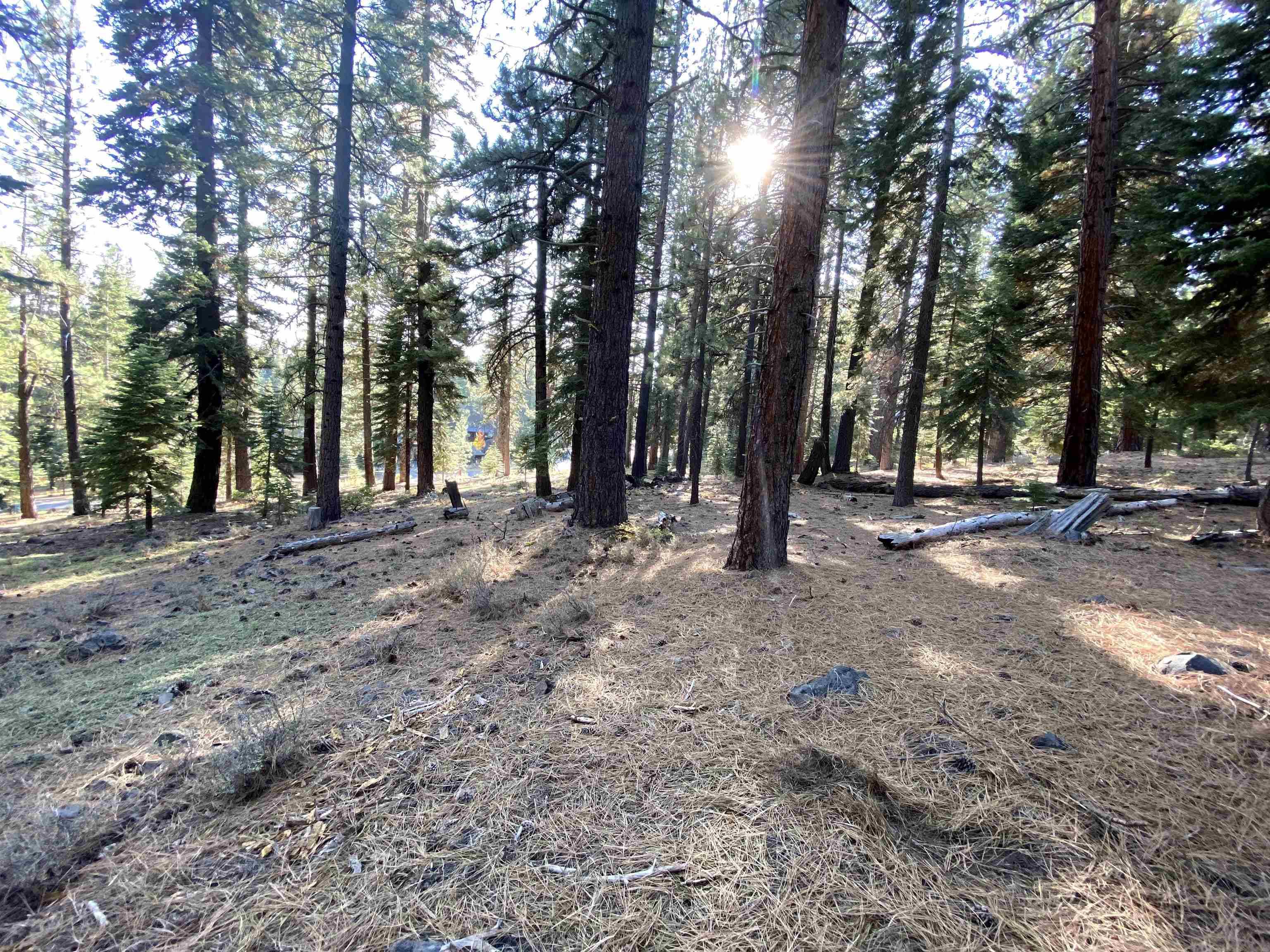 Truckee, CA 96161,12654 Granite Road