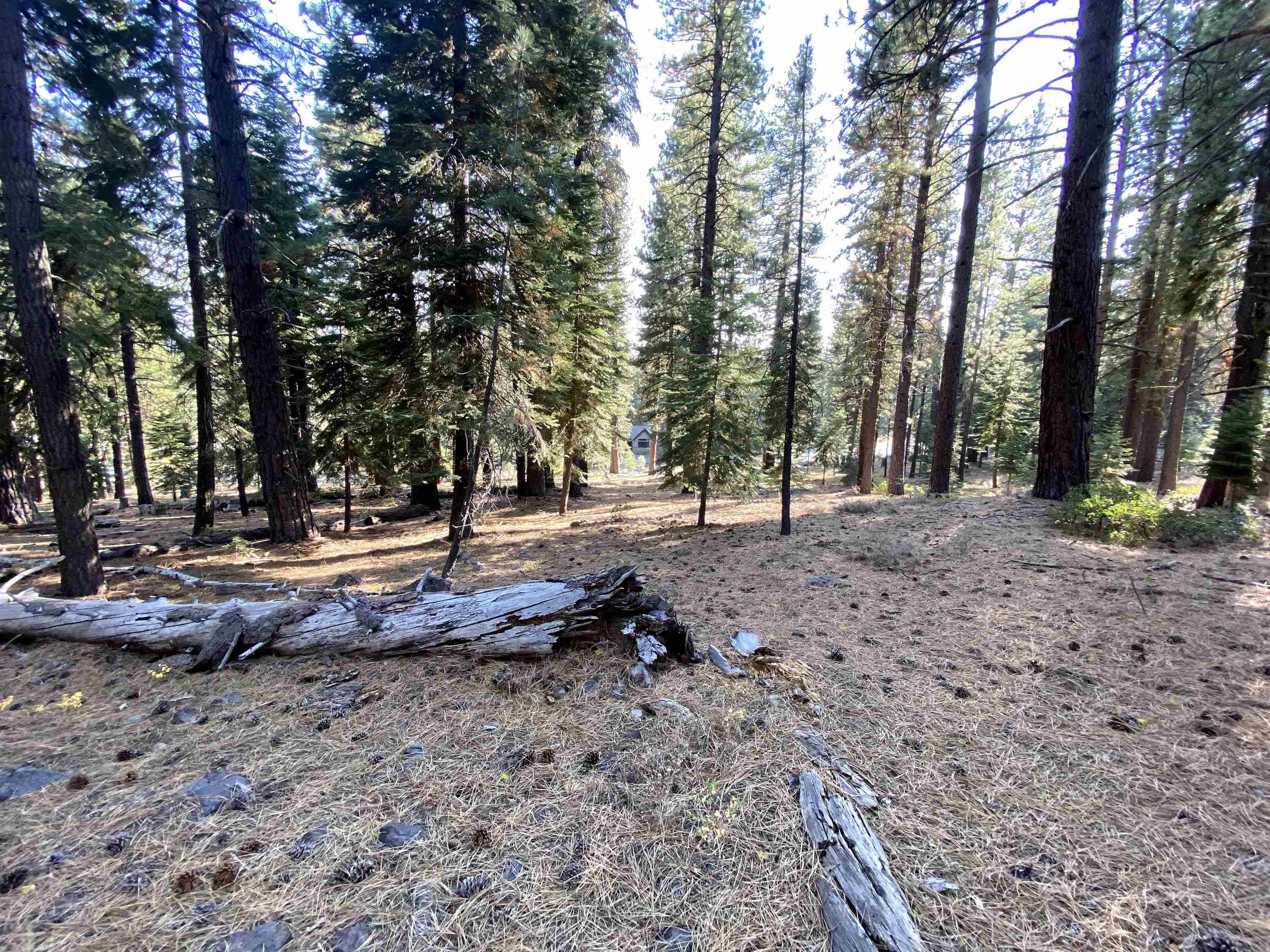 Truckee, CA 96161,12654 Granite Road