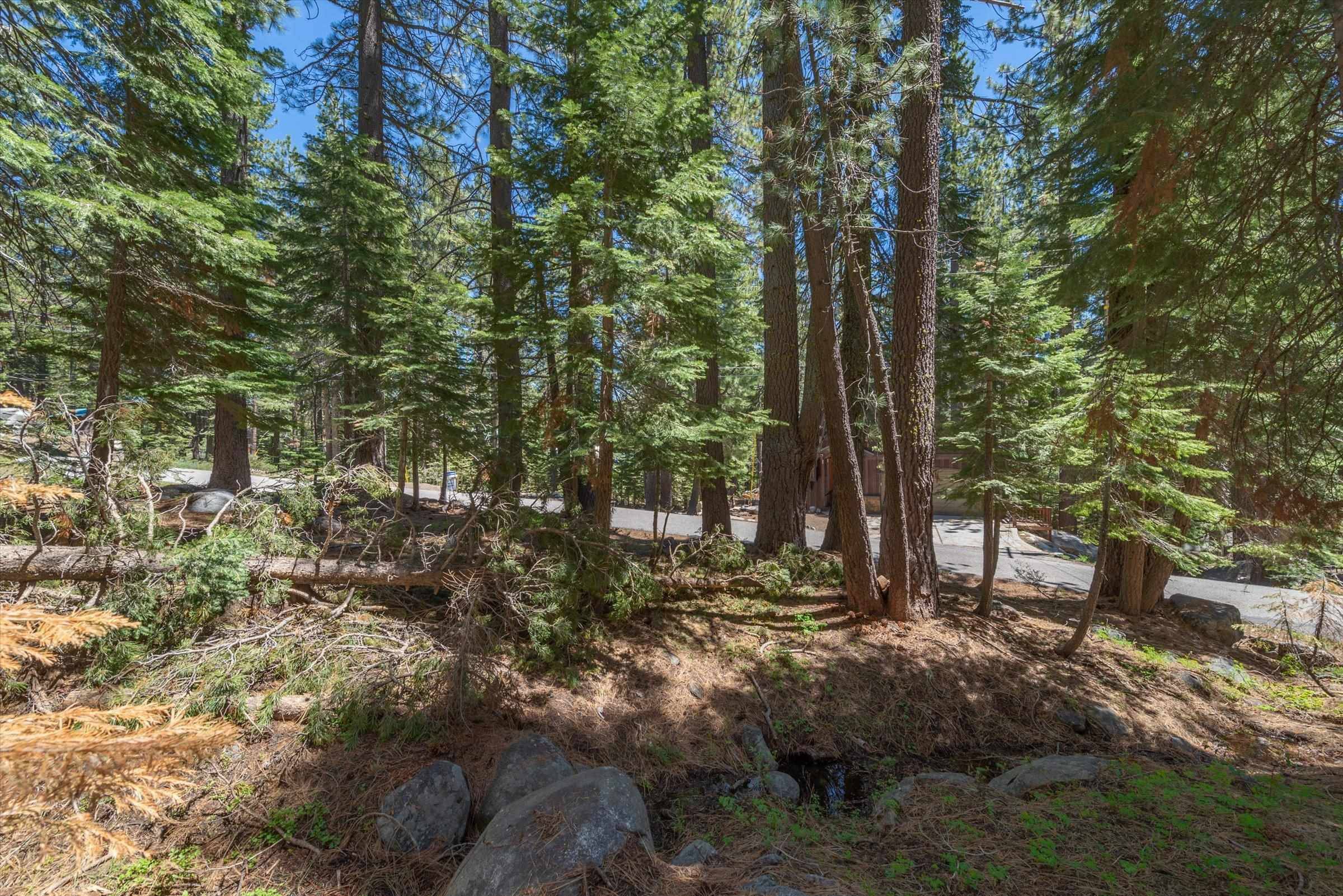 Soda Springs, CA 95728,50946 White Fir Terrace