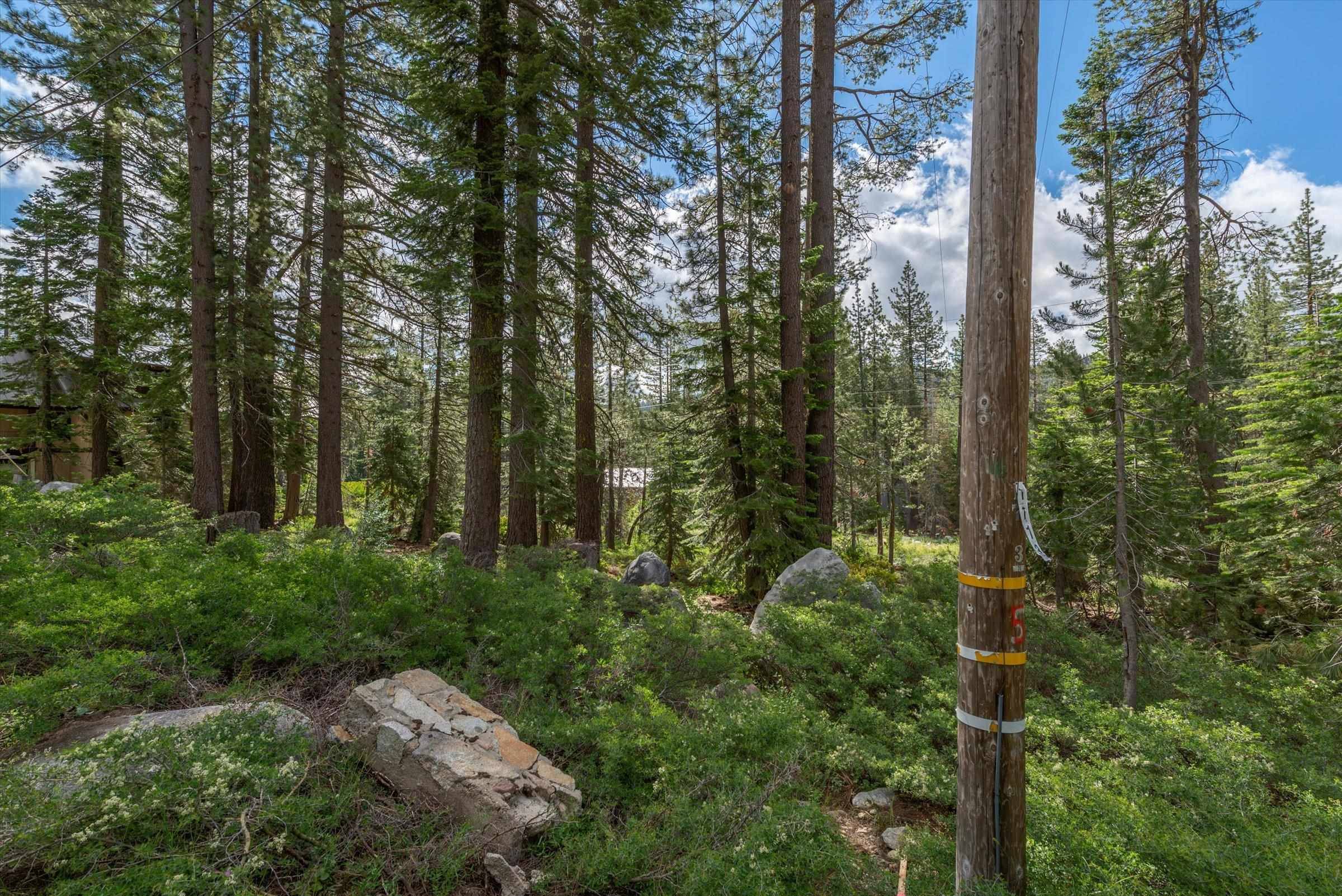 Soda Springs, CA 95728,51051 Jeffery Pine Drive