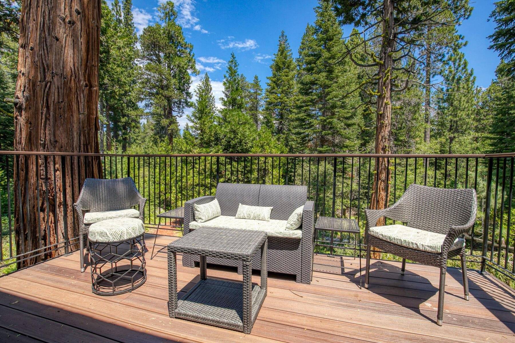 Tahoma, CA 96142,7110 State Highway 89 #1