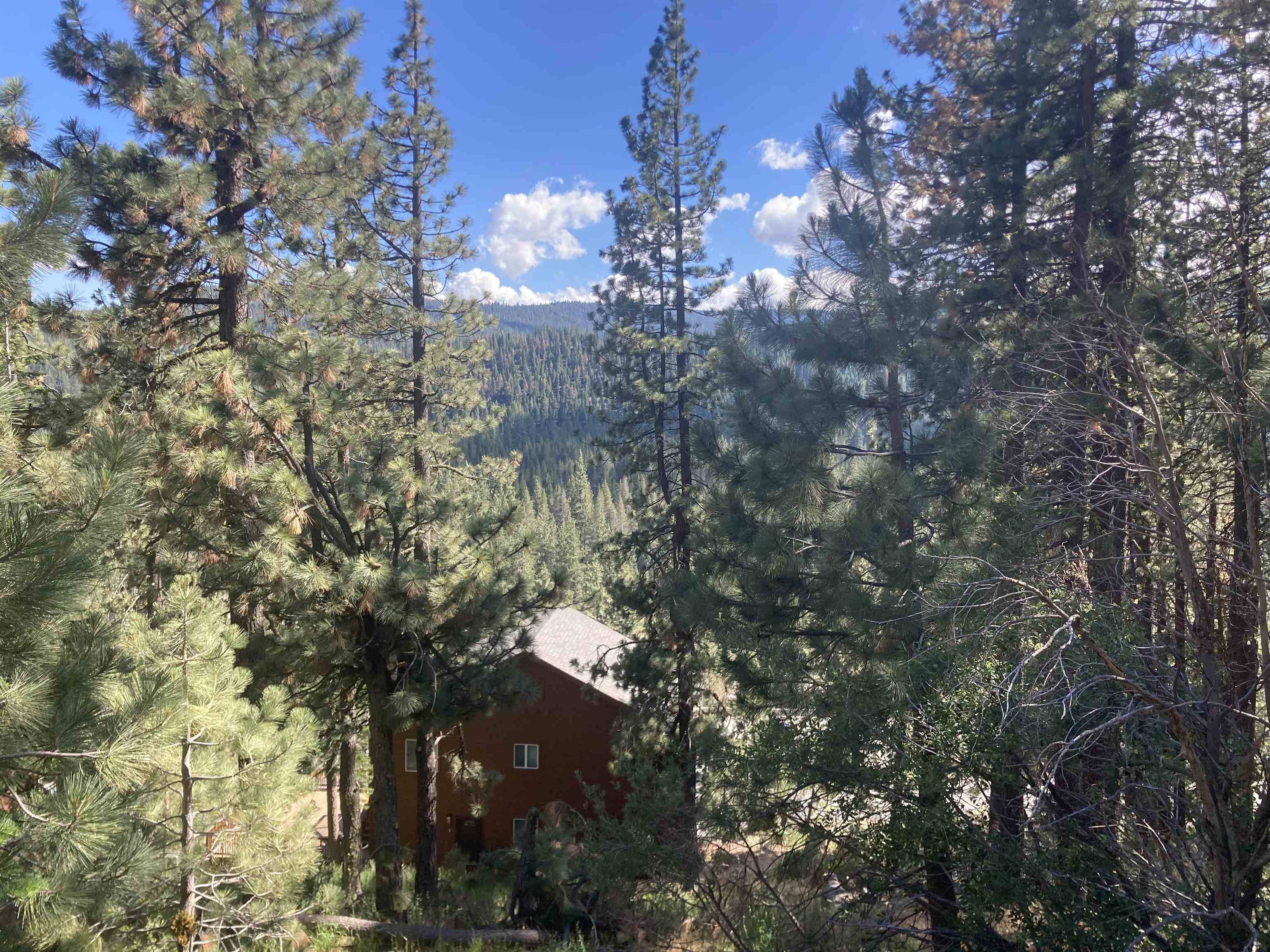 Truckee, CA 96161-0000,12673 Sierra Drive