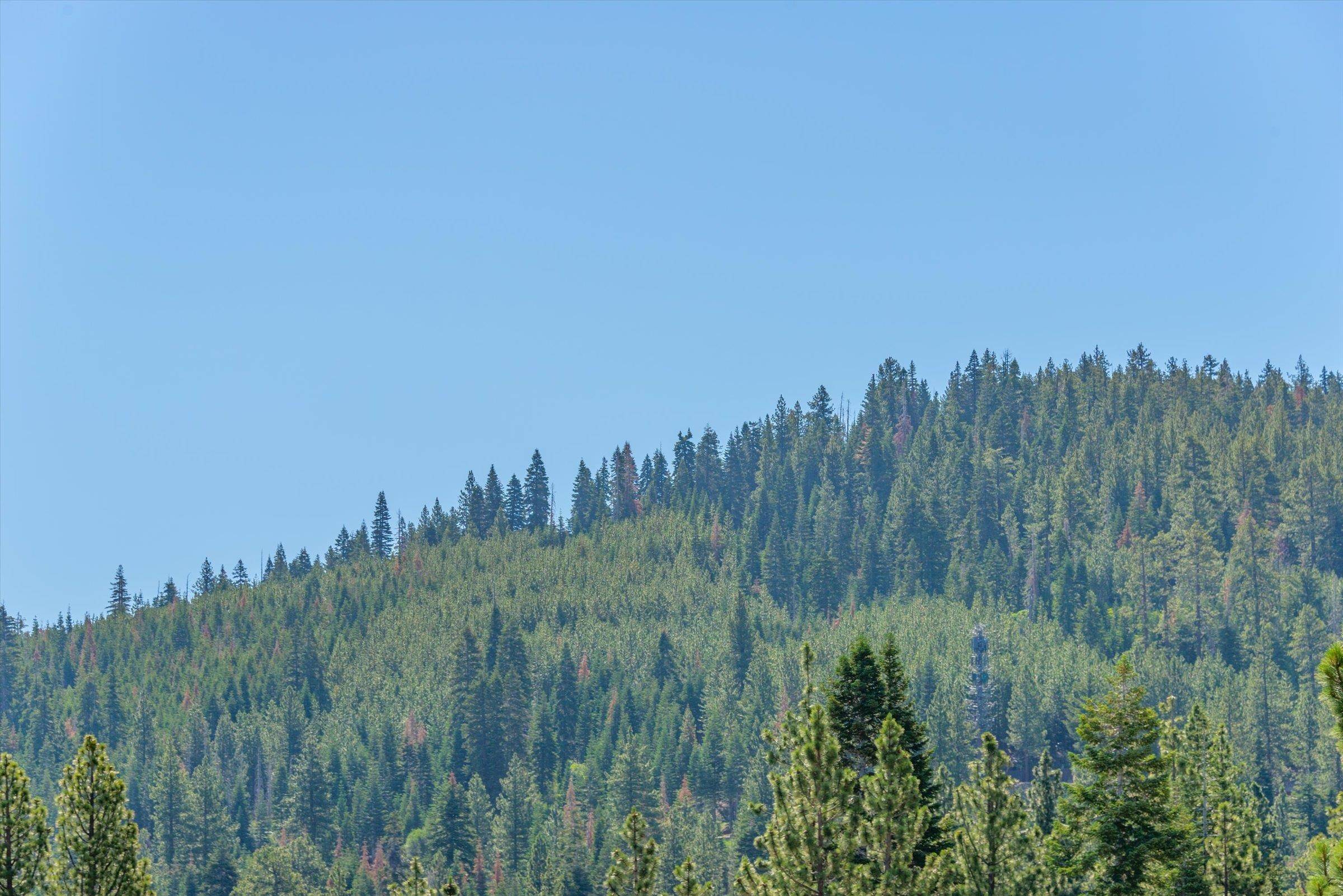 Truckee, CA 96161,3001 Northstar Drive #309