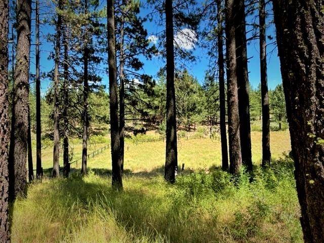 Portola, CA 96122,6036 N Iron Horse Drive