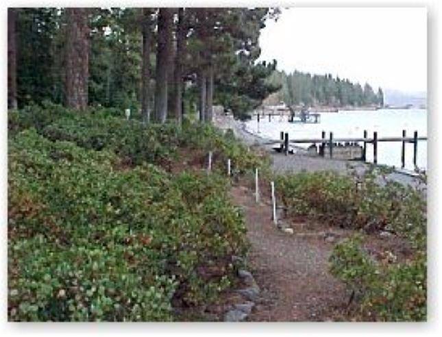 Tahoe City, CA 96145,213 Talvista Drive