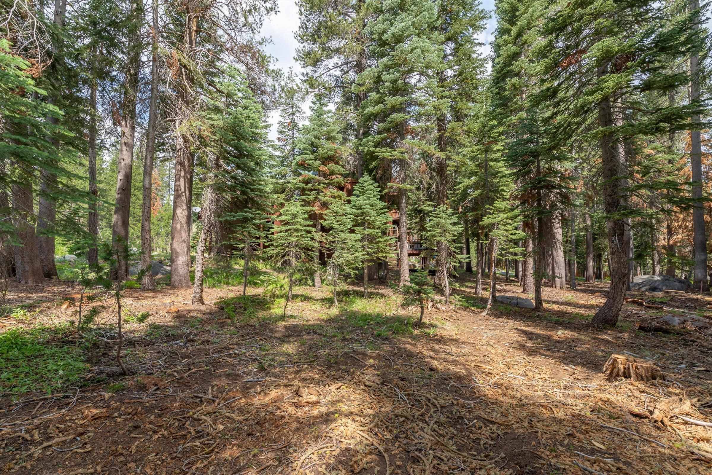 Soda Springs, CA 95728,6238 Alpine Way