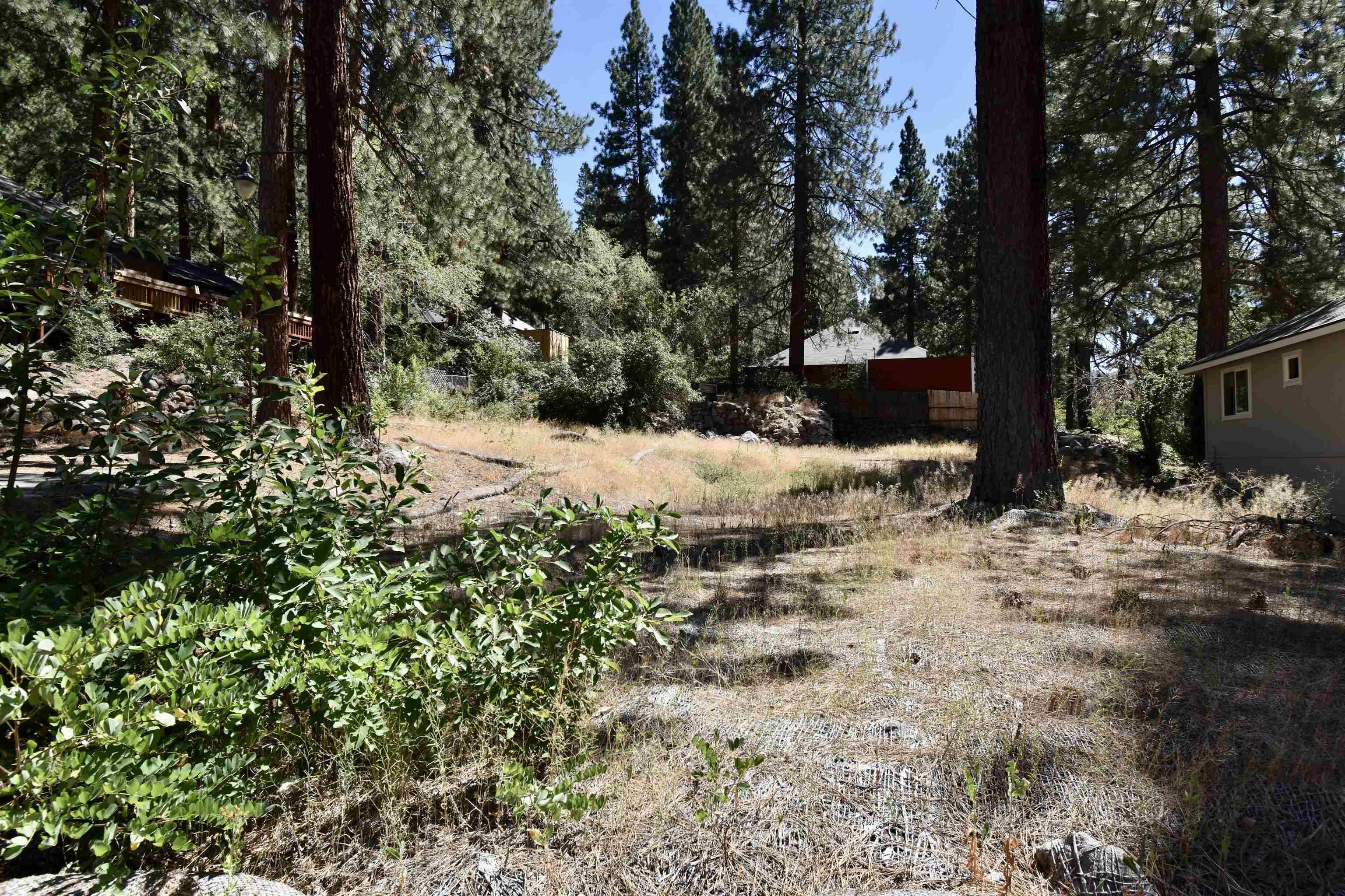 Floriston, CA 96111-4514,22207 Spruce Street