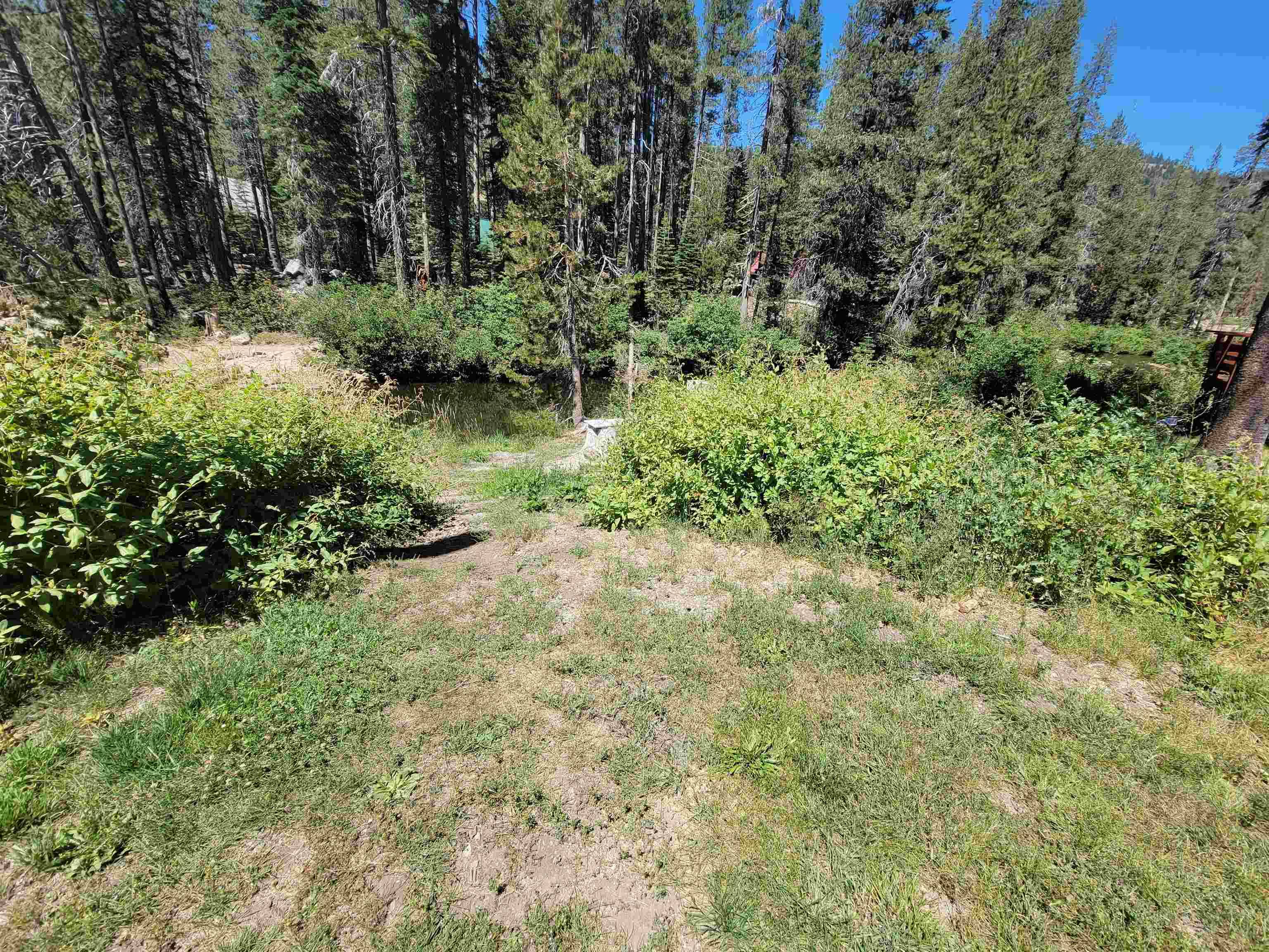 Soda Springs, CA 95728,10045 Taffy Lane