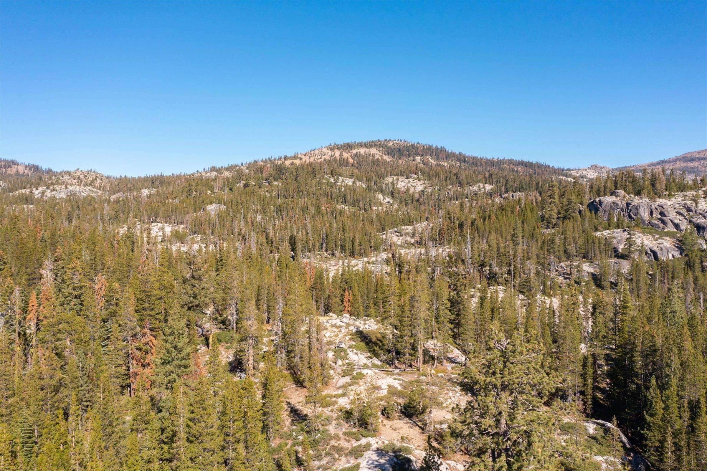Soda Springs, CA 95728,11895 Lola Montez Road