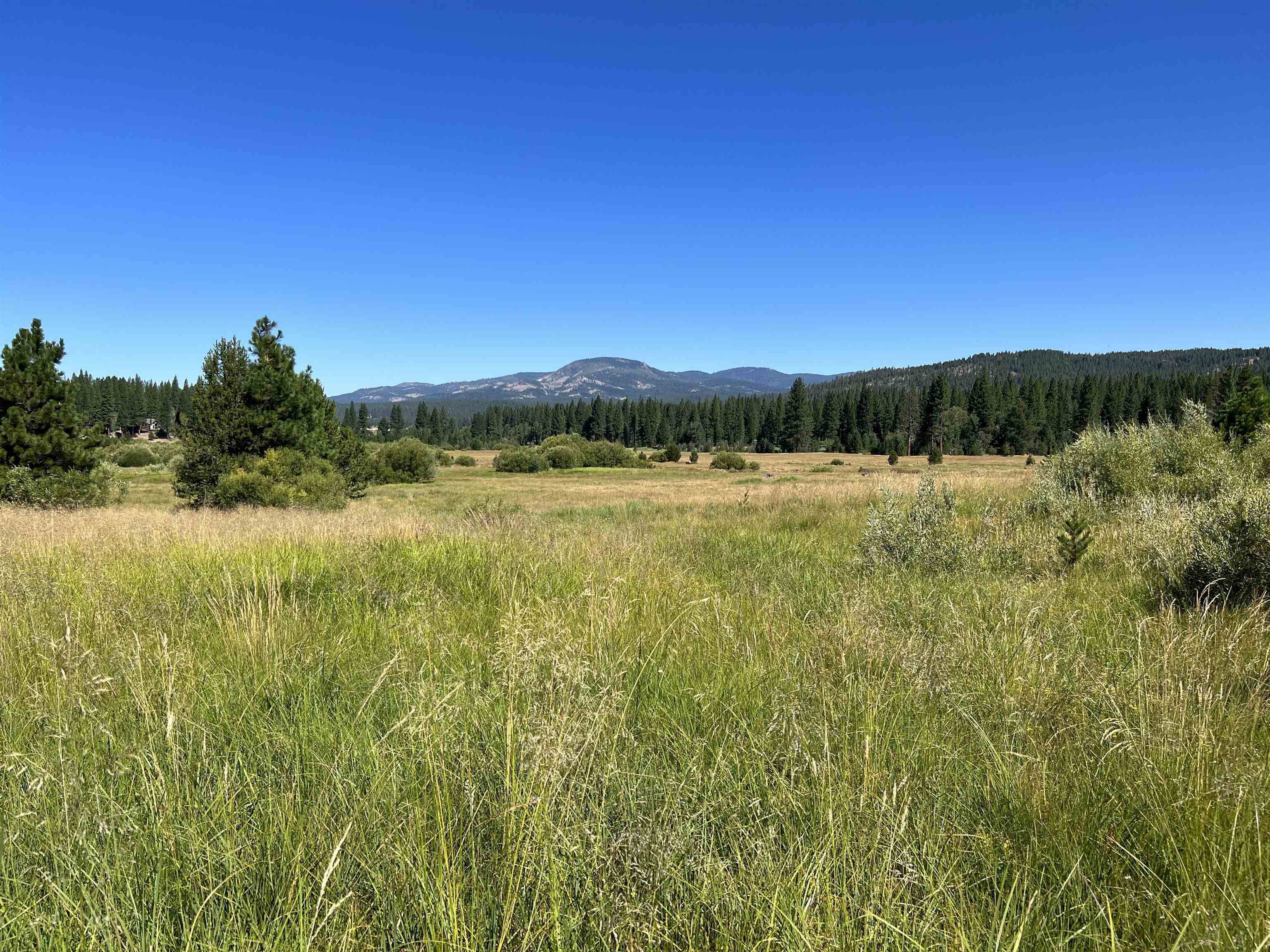 Clio, CA 96106,475 Old Hatchery Road