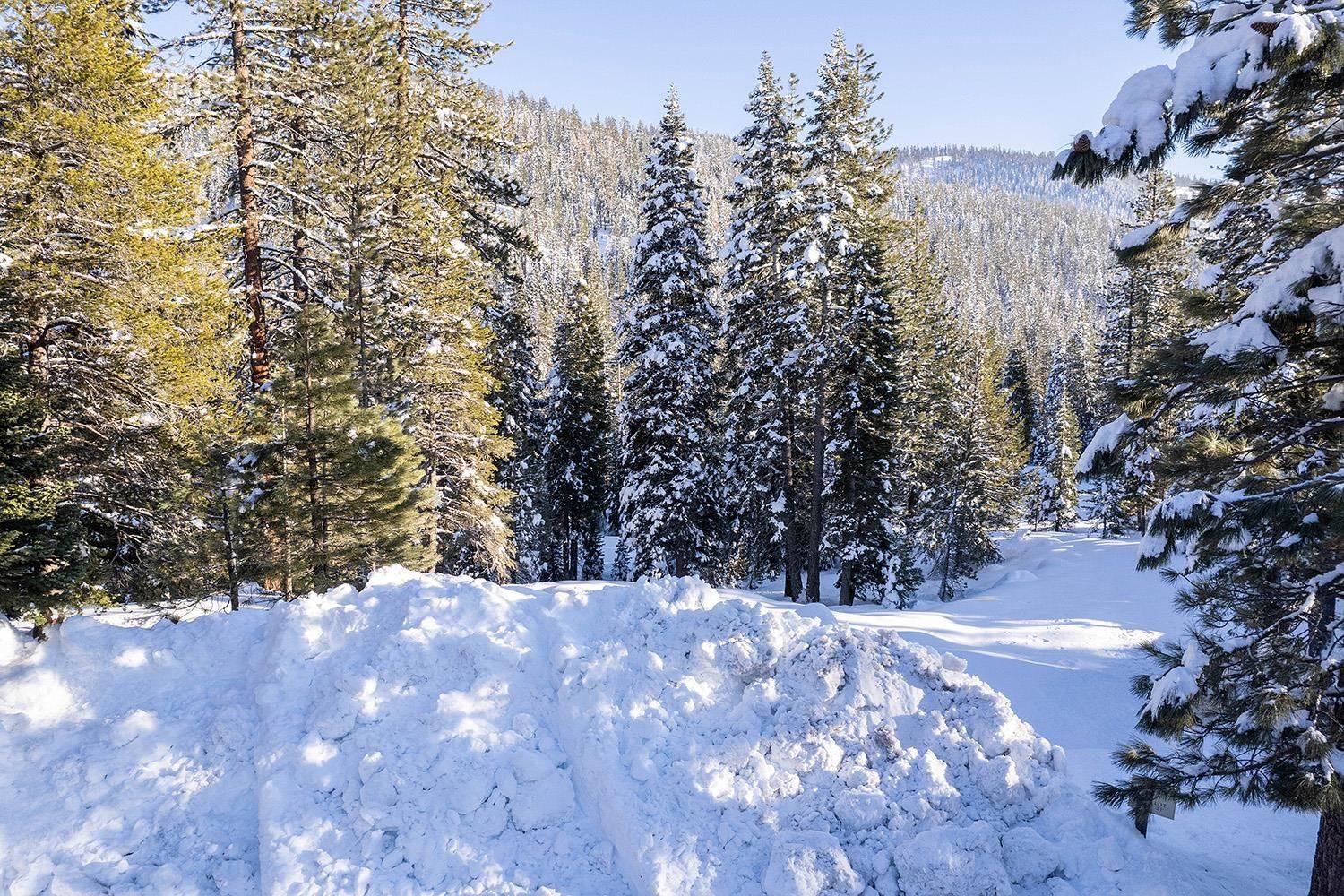 Olympic Valley, CA 96146,132 Rock Garden Court