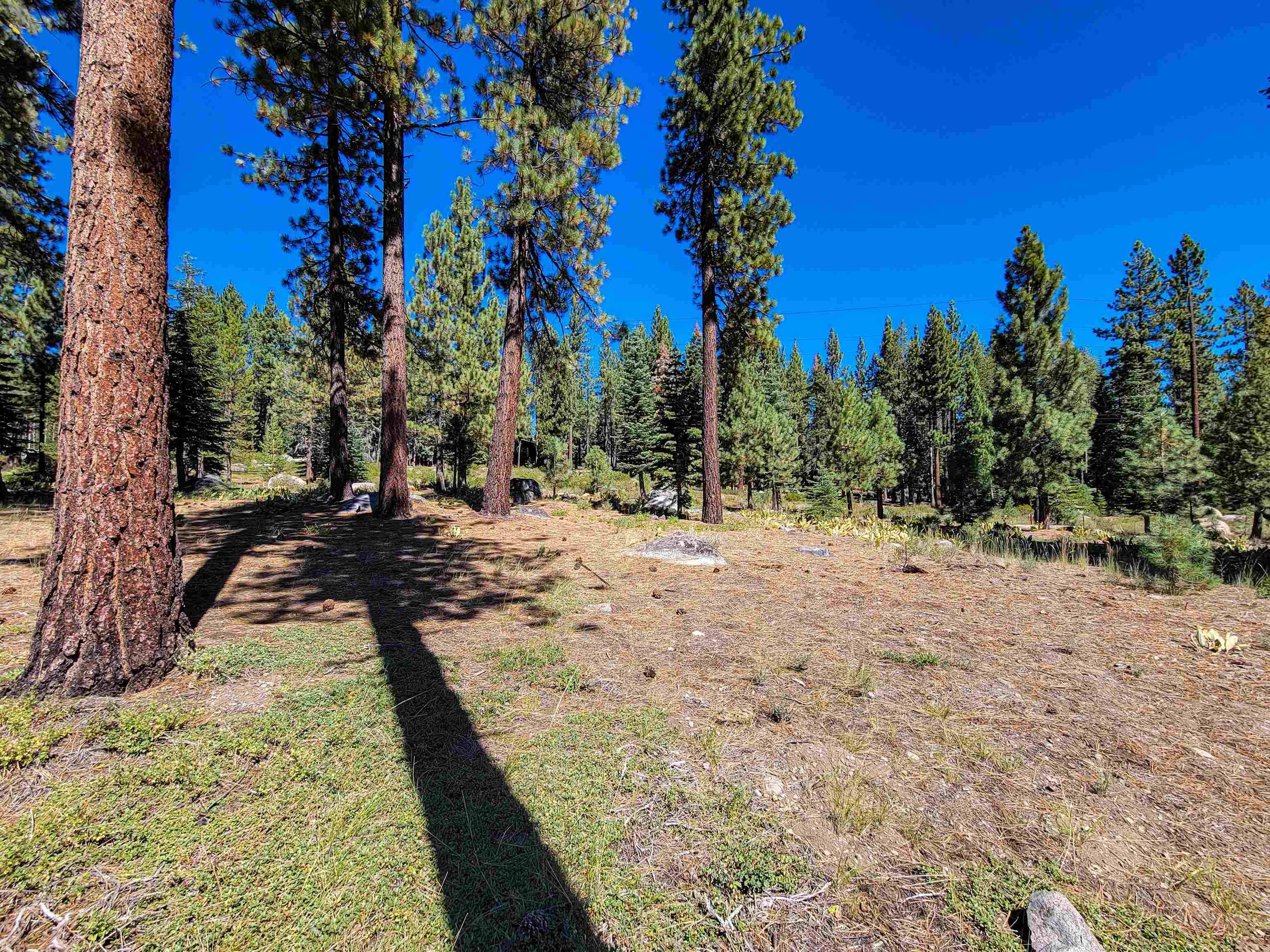 Truckee, CA 96161,11840 Lamplighter Way