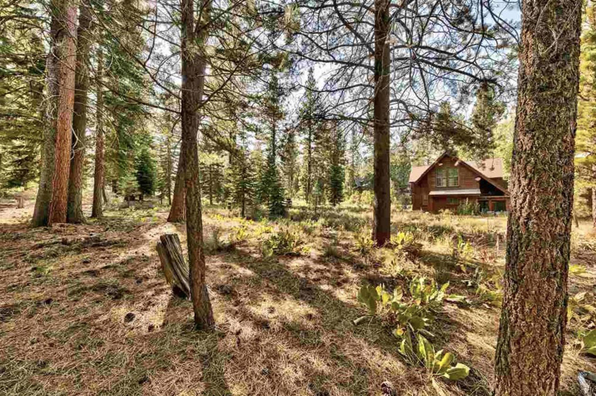 Truckee, CA 96161,8485 Lahontan Drive