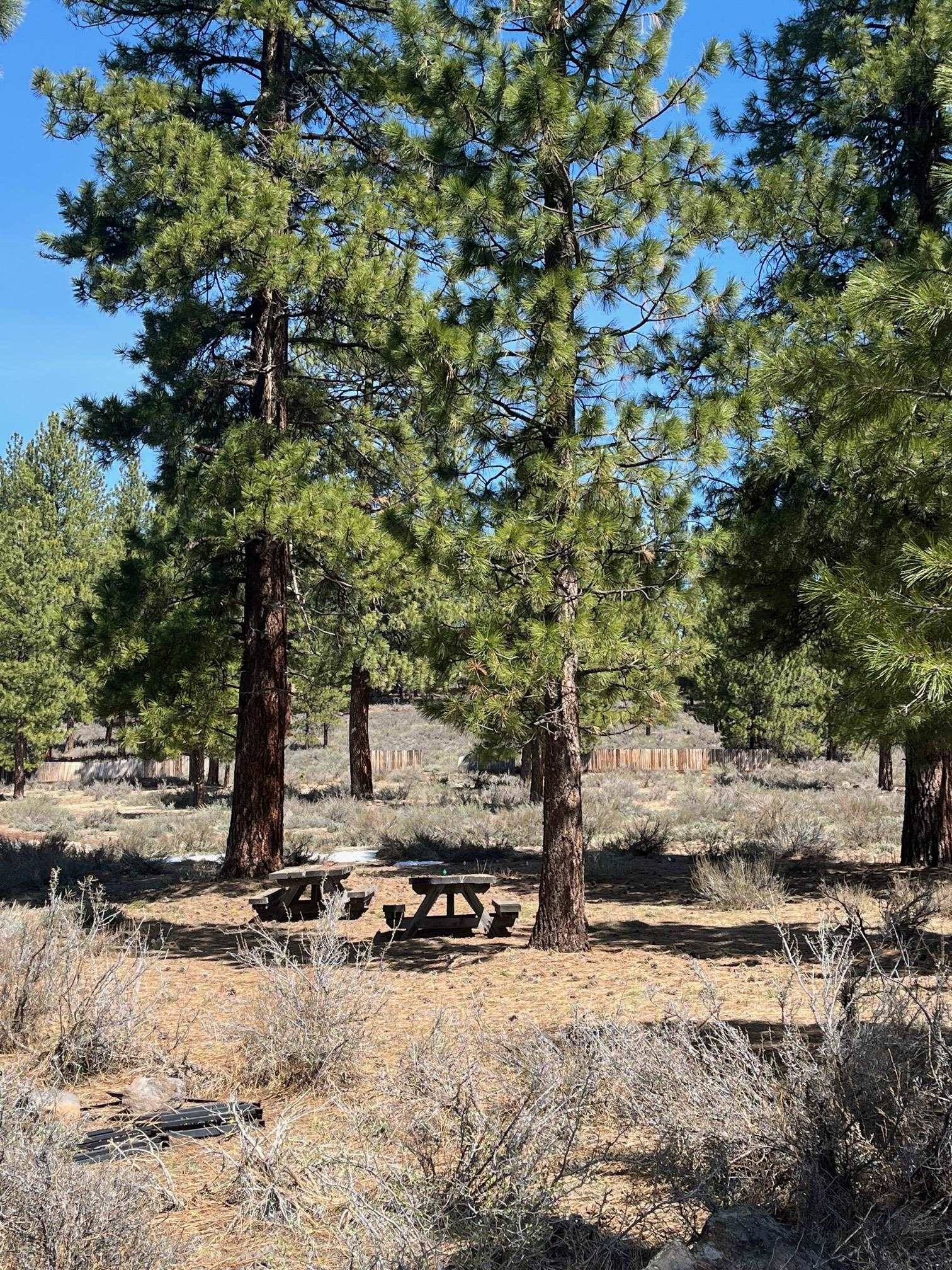 Truckee, CA 96161,10750 Allenby Way