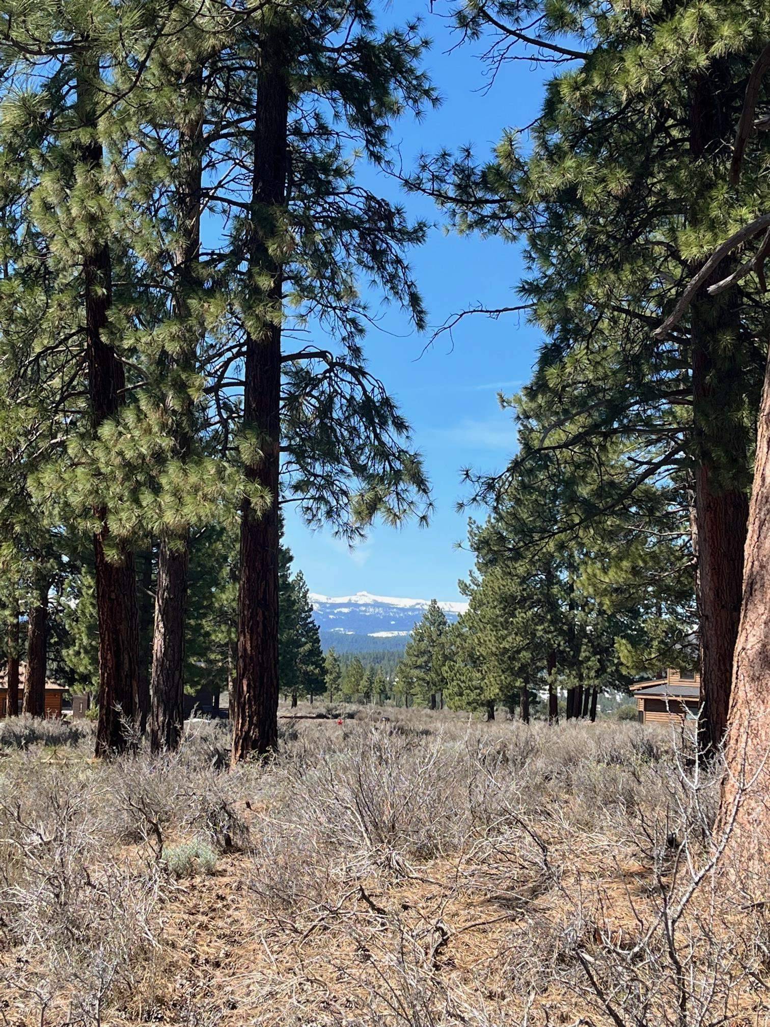 Truckee, CA 96161,10750 Allenby Way