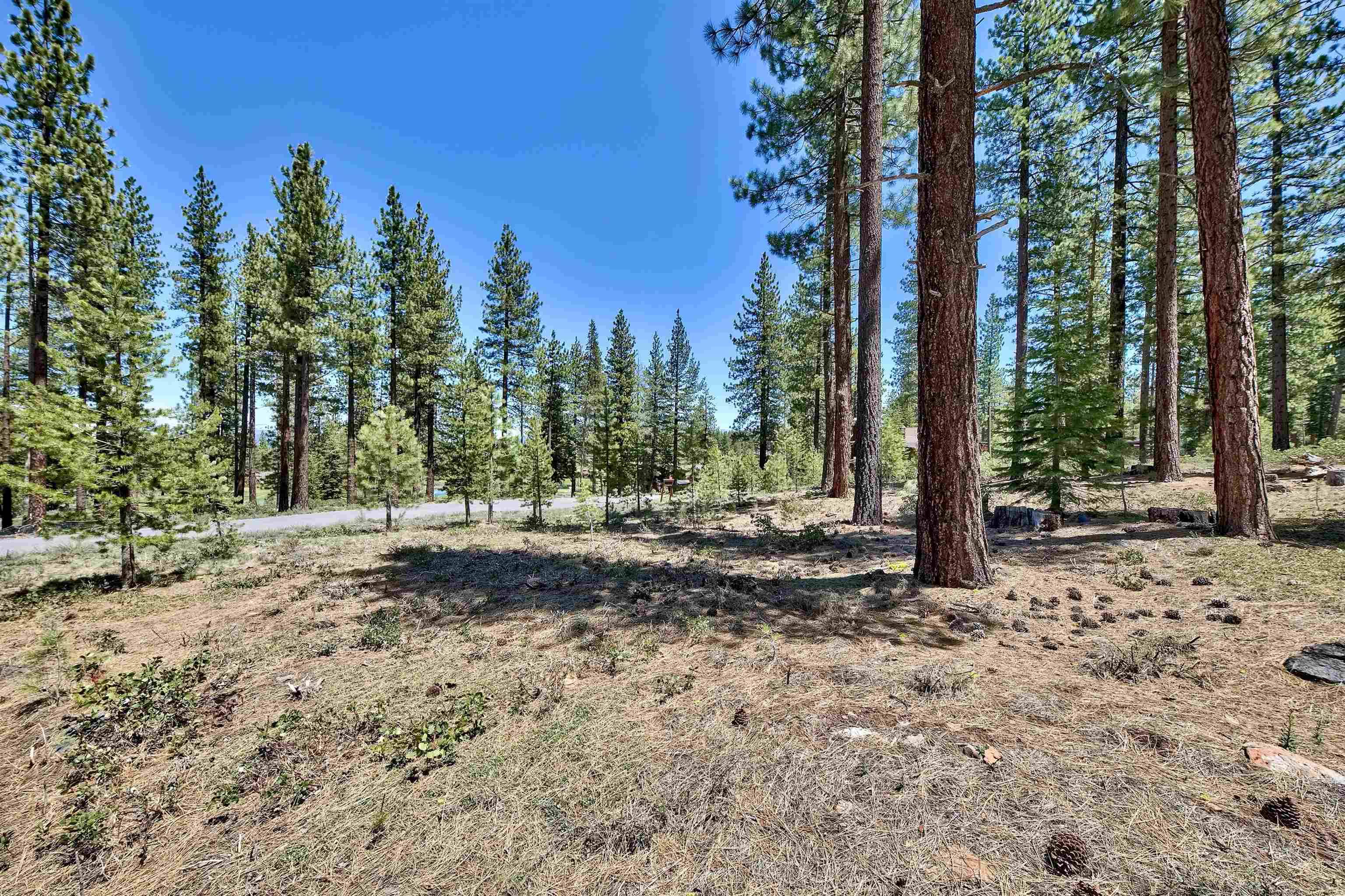 Truckee, CA 96161-0000,11302 Elle Ellen