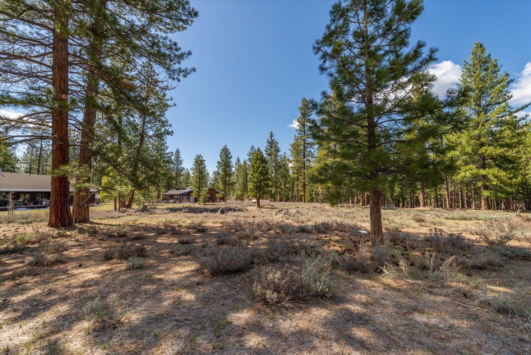 Truckee, CA 96161,15500 Kent Drive