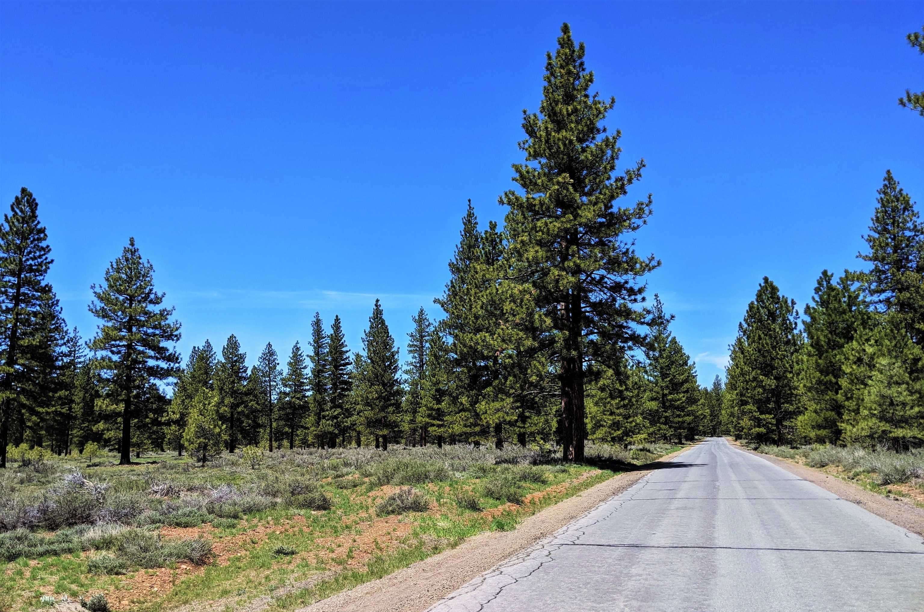 Truckee, CA 96161,11221 Martis Peak Road