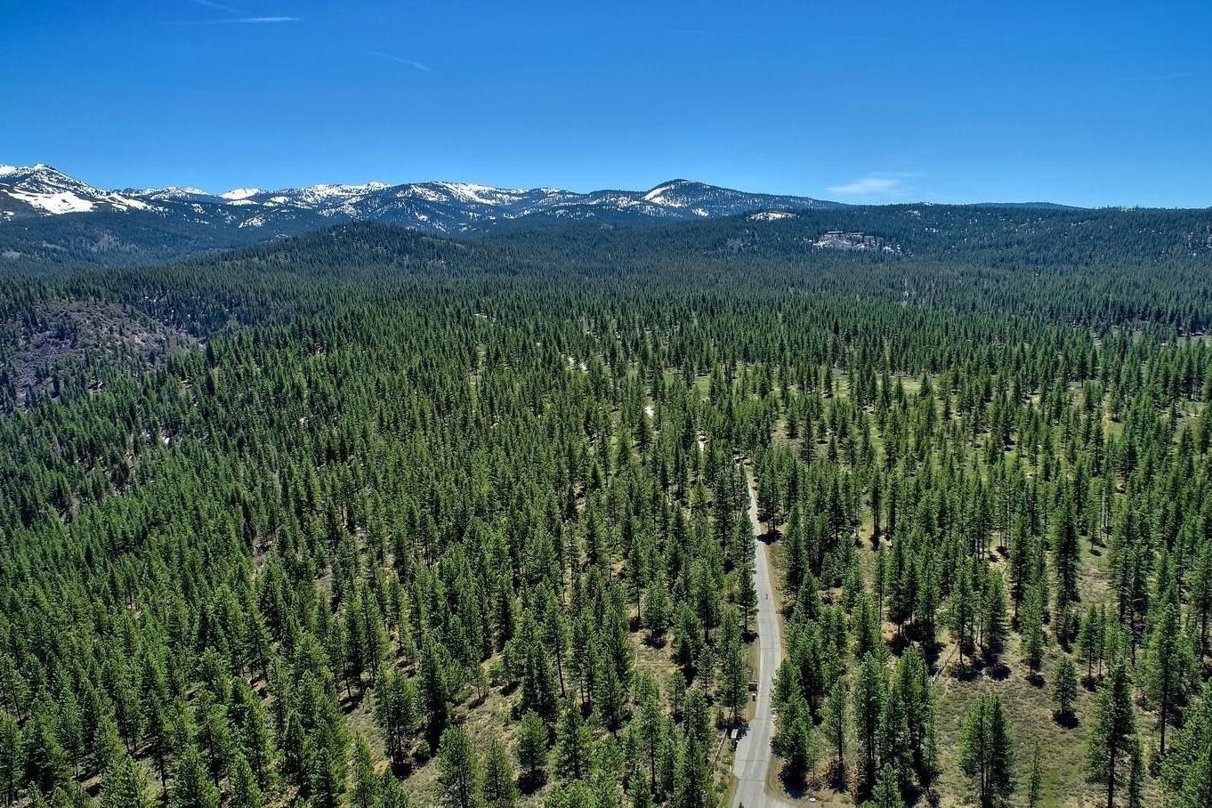 Truckee, CA 96161,11221 Martis Peak Road