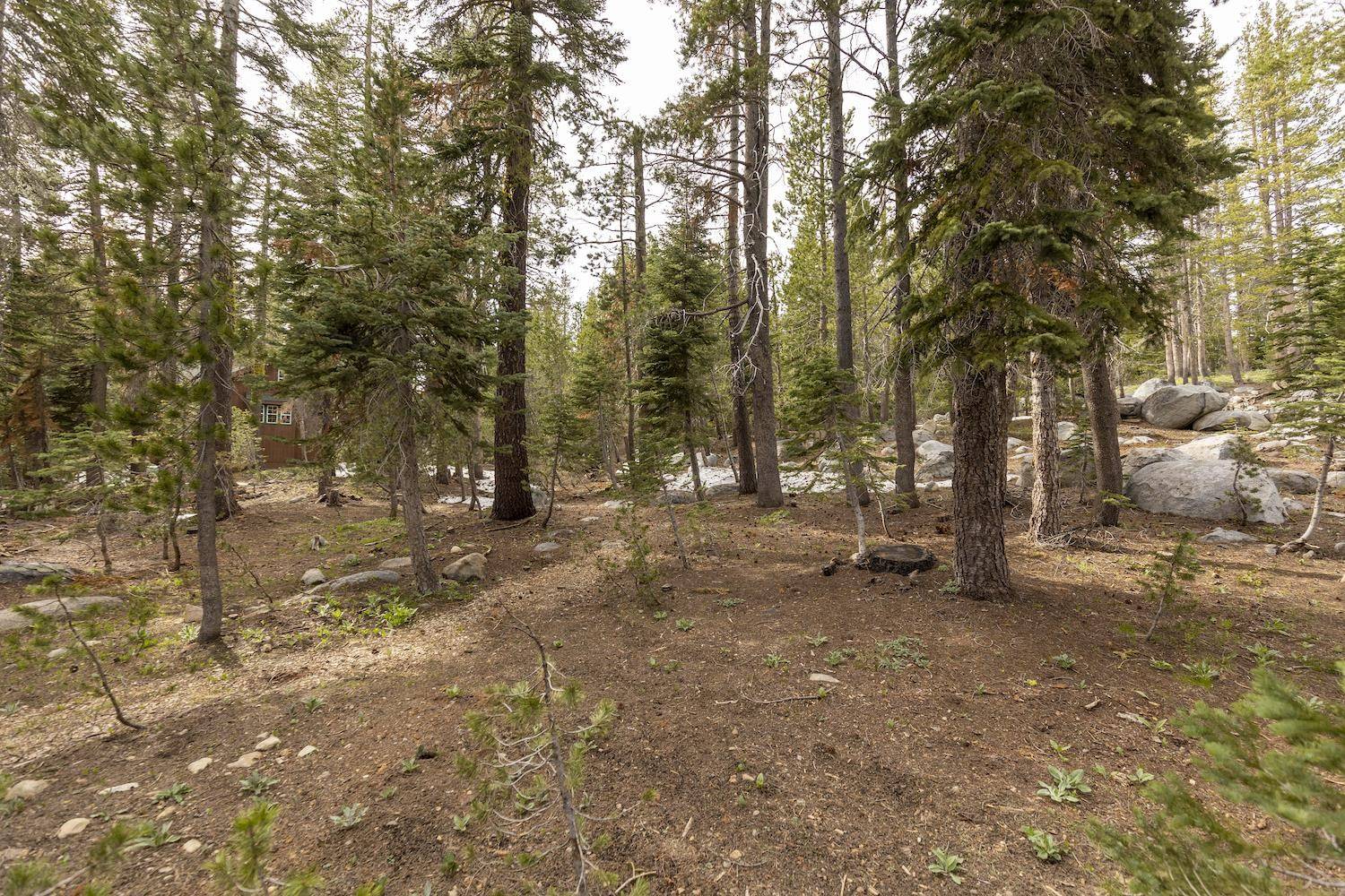 Soda Springs, CA 95728,7928 Acorn Road