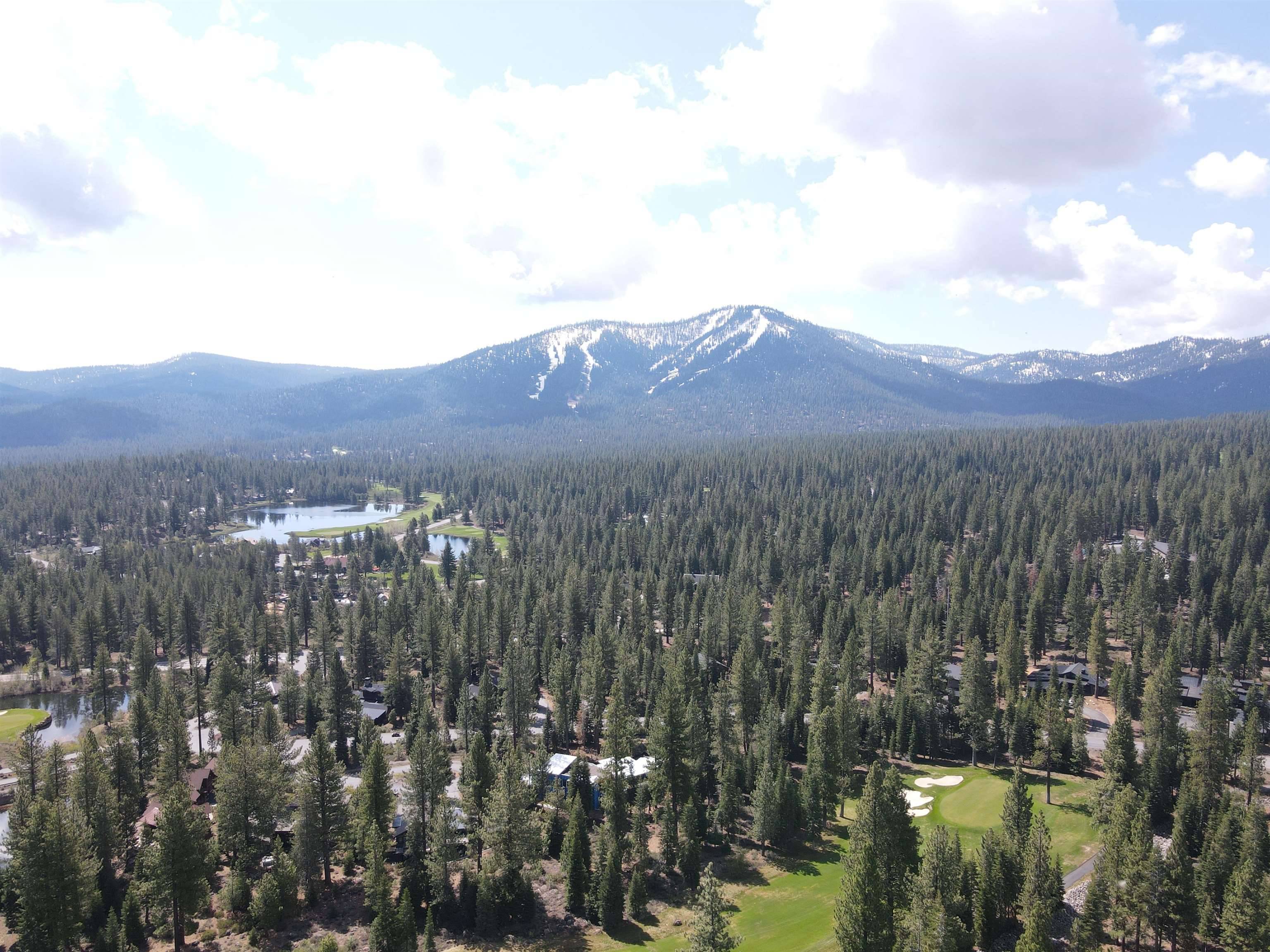 Truckee, CA 96161,9320 Nine Bark Road