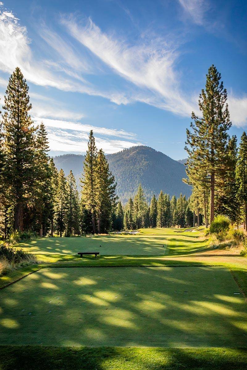 Truckee, CA 96161,8595 Kilbarchan Court