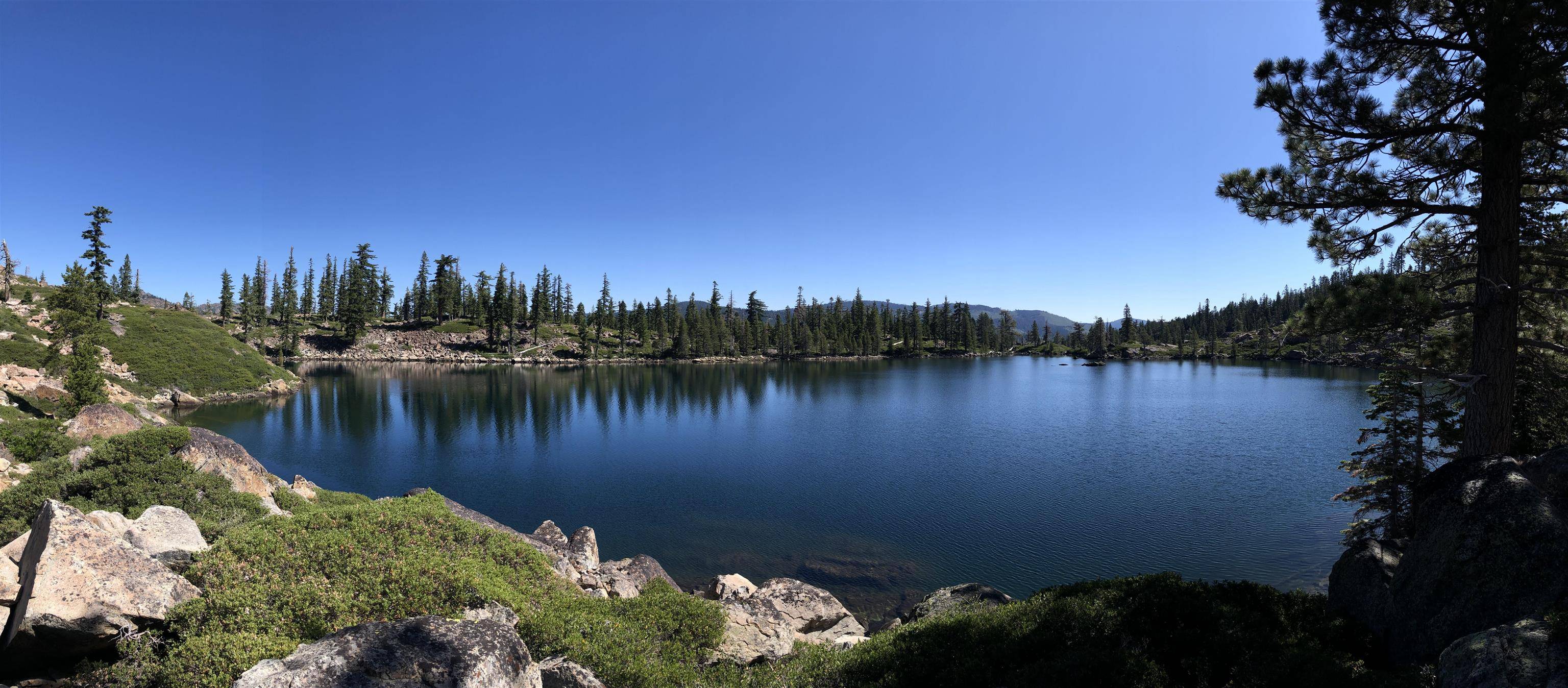 Sierra City, CA 96125,008-070-011 Sierra Buttes Road