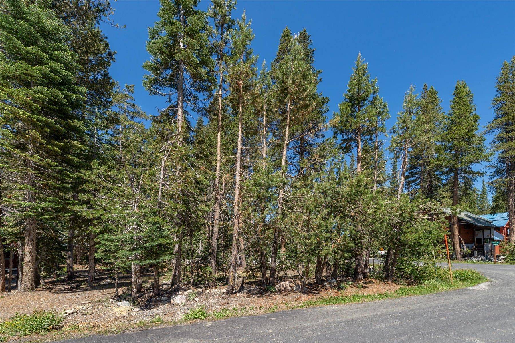 Soda Springs, CA 95724,5595 Spruce Road