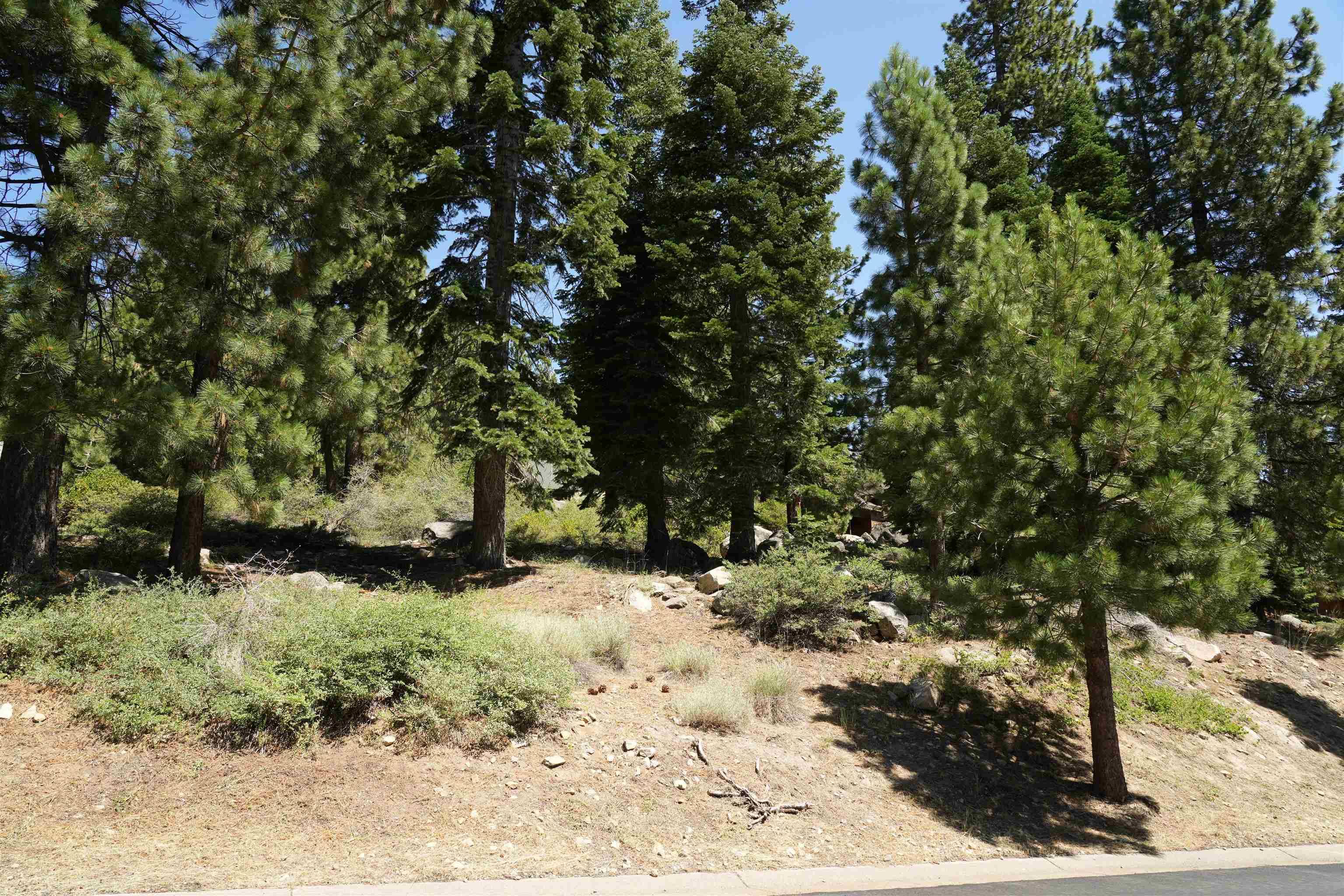 Truckee, CA 96161,16421 Kates Creek Place