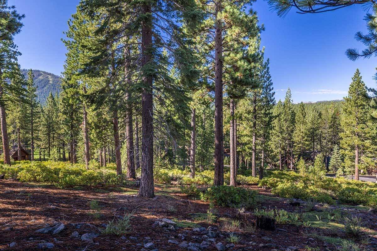 Truckee, CA 96161,8632 Lloyd Tevis