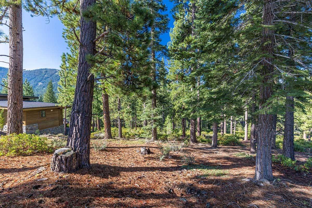 Truckee, CA 96161,8632 Lloyd Tevis
