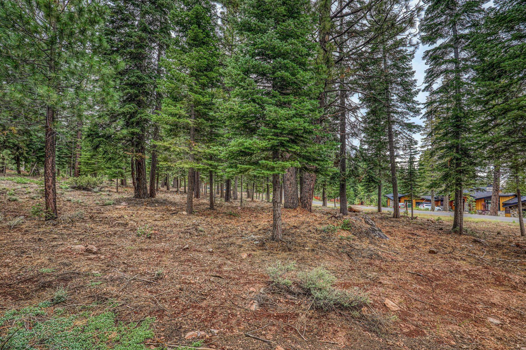 Truckee, CA 96161,9270 Brae Road