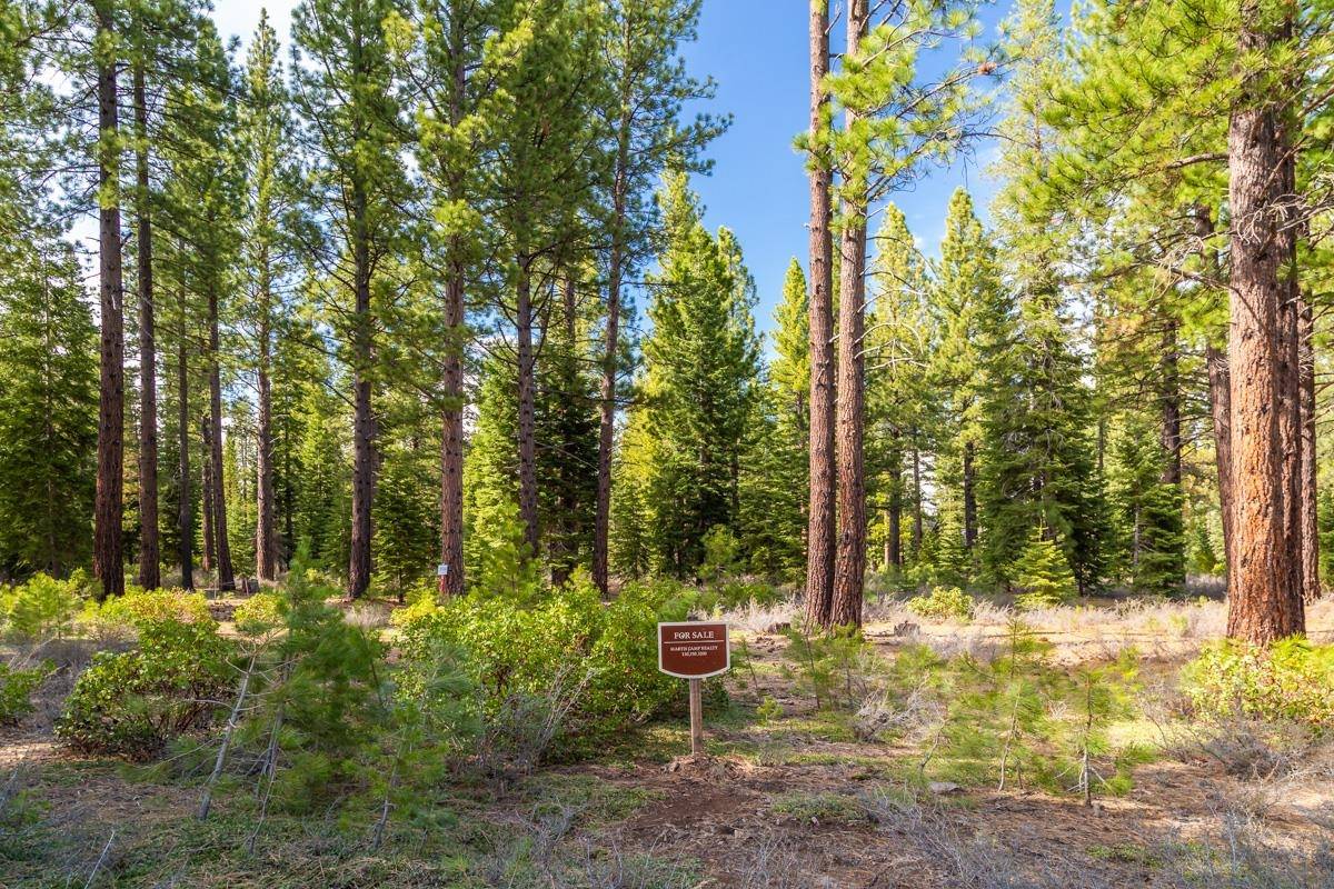 Truckee, CA 96161,8507 Wellscroft Court