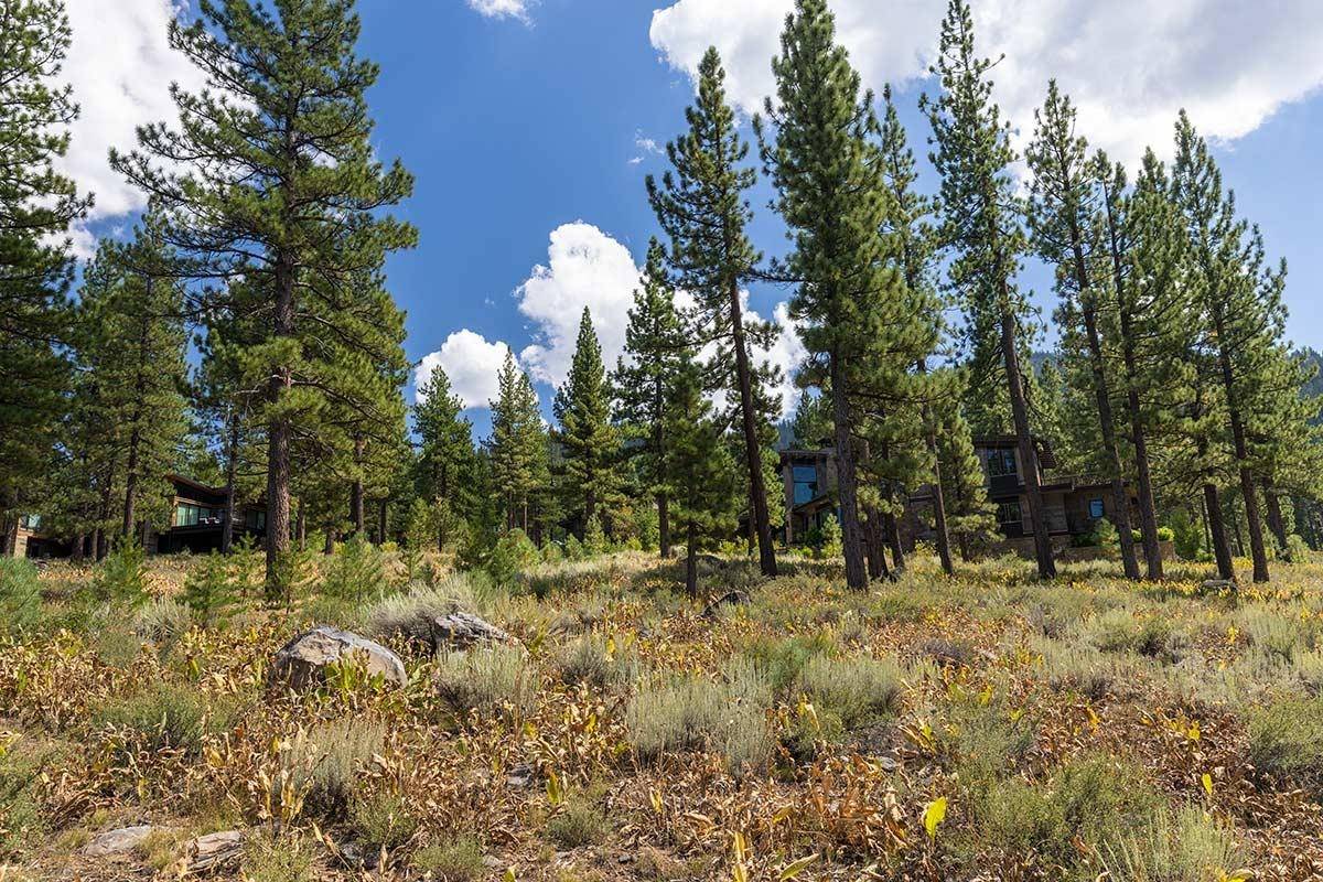 Truckee, CA 96161,8178 Villandry Drive