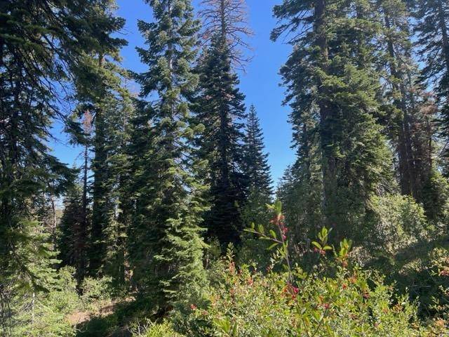 Bucks Lake, CA 95971,000 Bucks Lake Road #000 Big Creek Rd