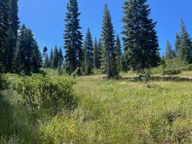 Bucks Lake, CA 95971,000 Bucks Lake Road #000 Big Creek Rd