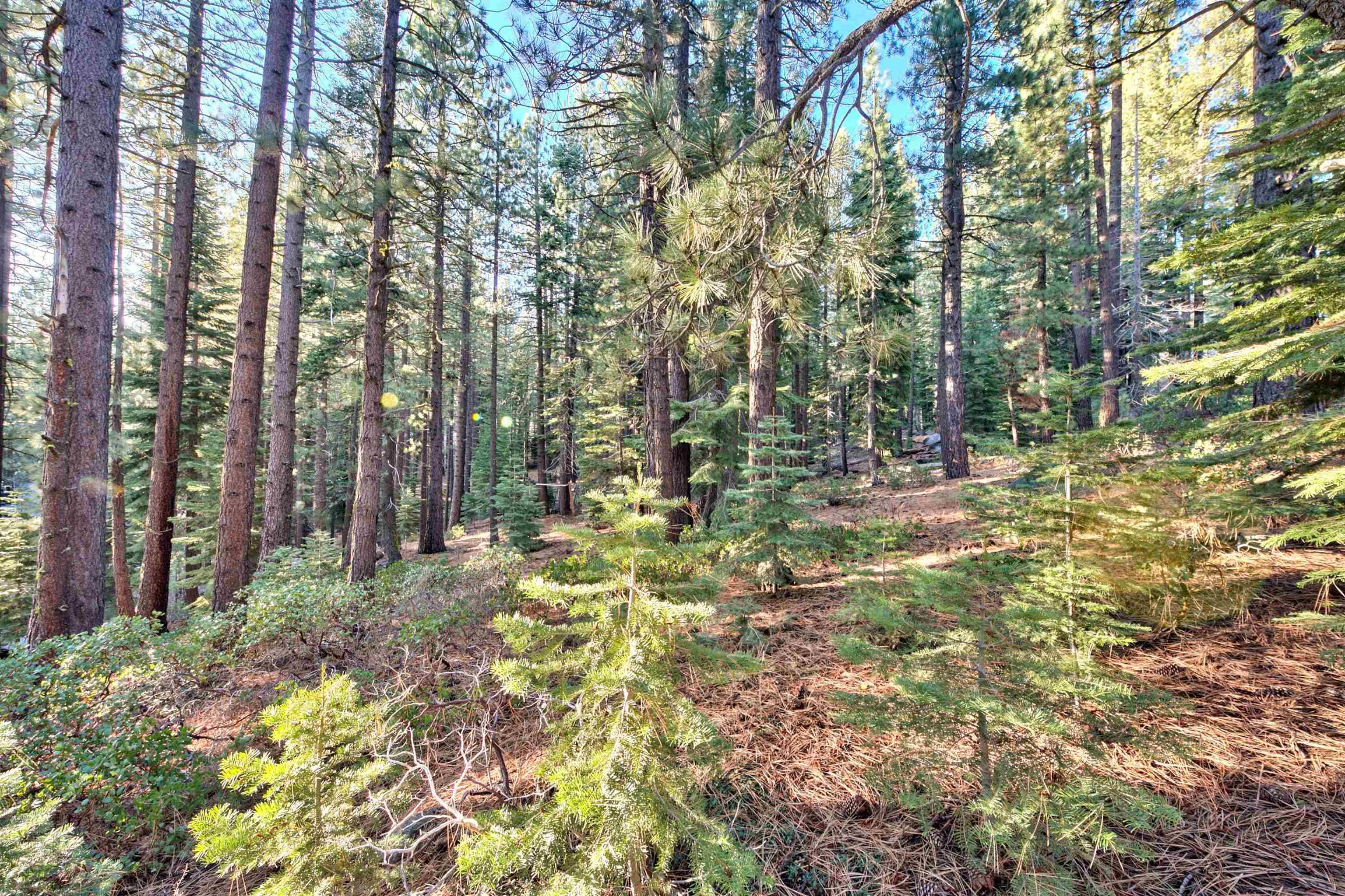 Truckee, CA 96161,11632 White Fir Trail