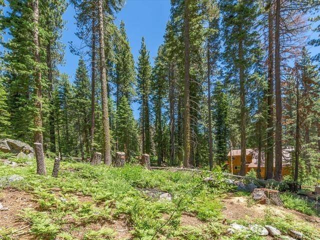 Soda Springs, CA 95728,51217 Jeffery Pine Drive